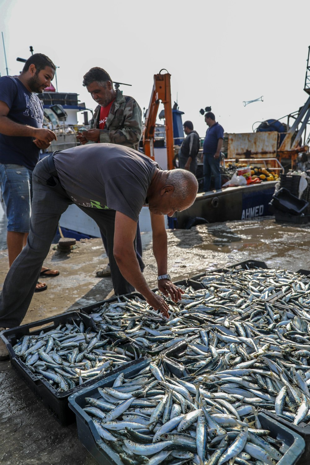 a group of men standing around a pile of fish