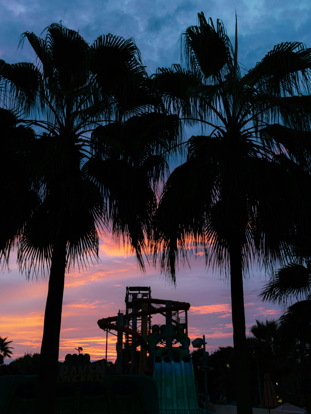 palm trees and a water slide at sunset