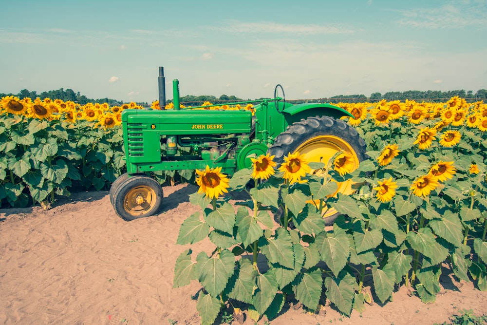 a green tractor parked in a field of sunflowers