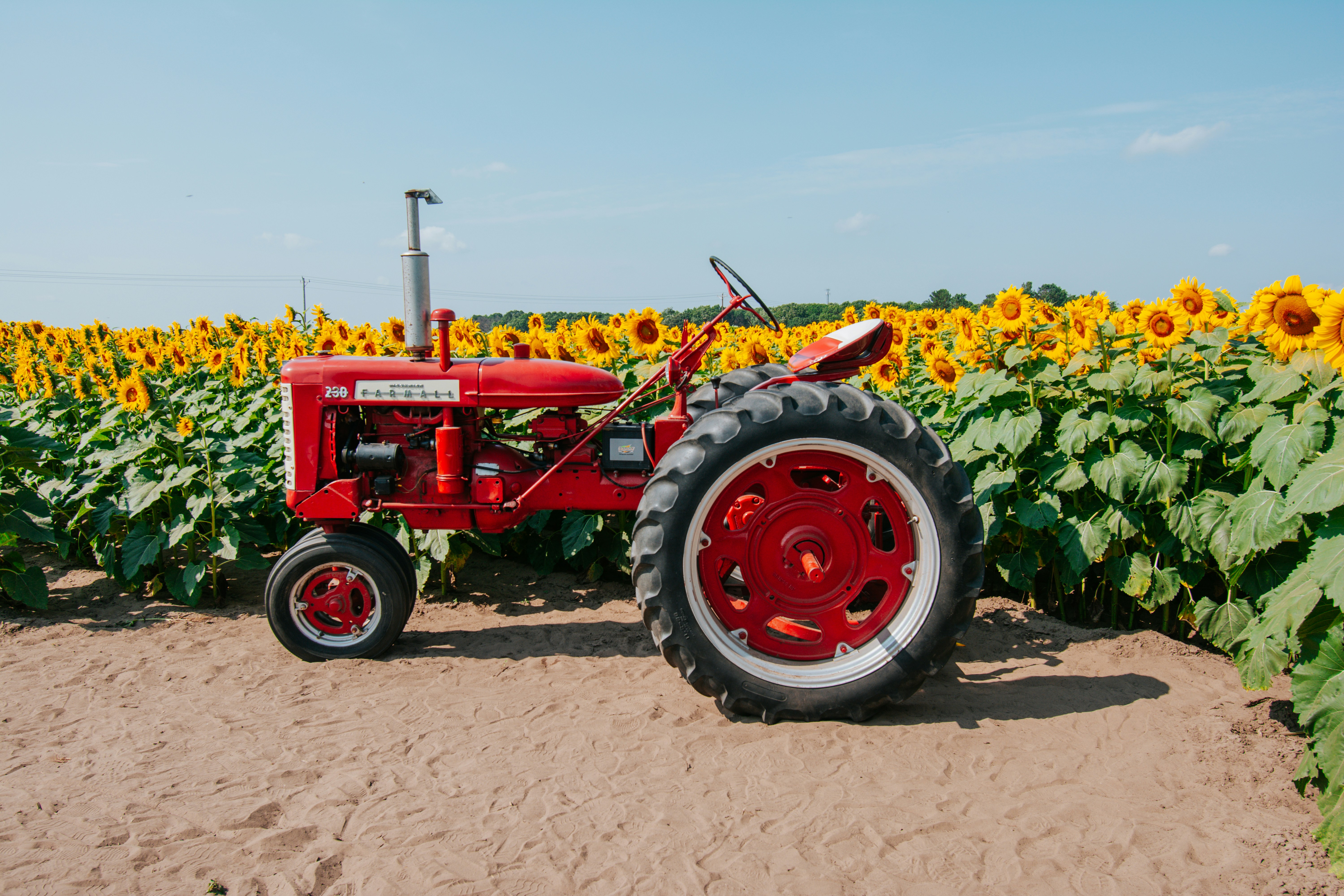 a red tractor parked in a field of sunflowers