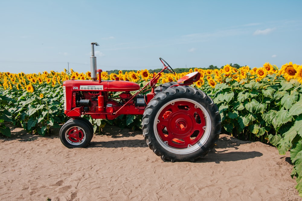 a red tractor parked in a field of sunflowers