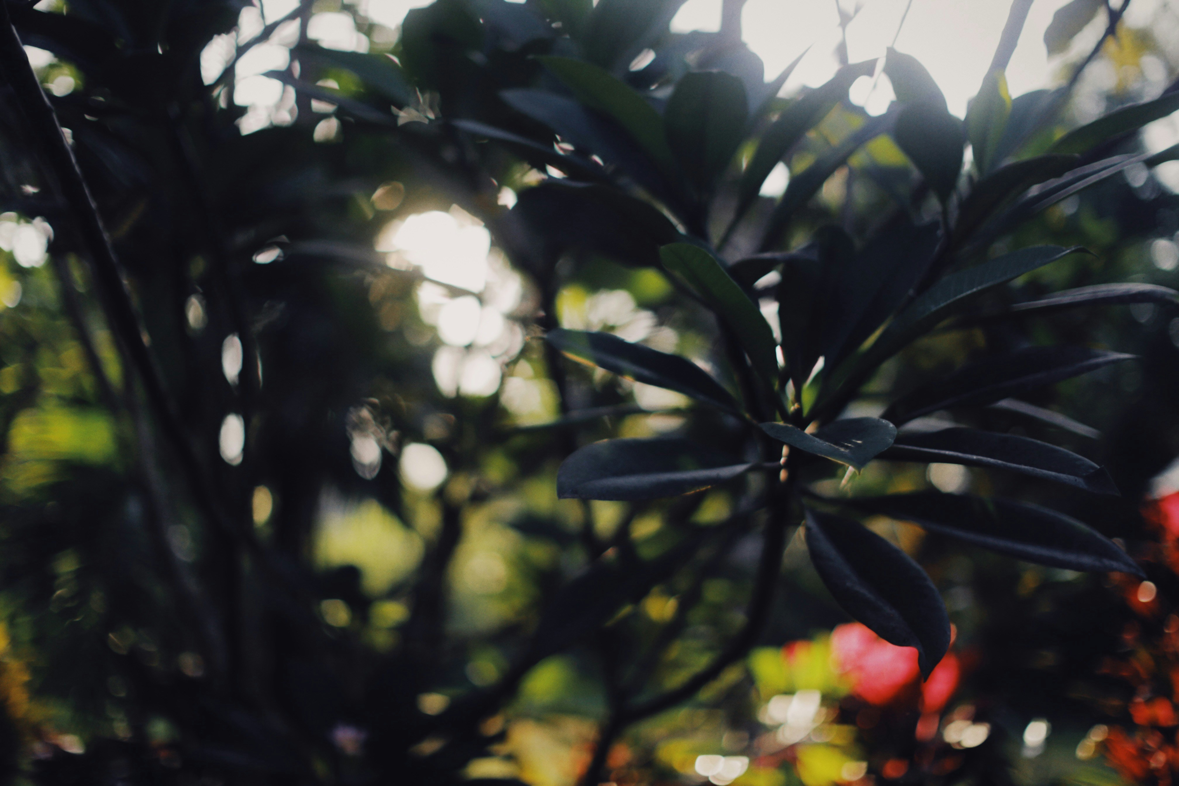 Photo by alexeydemidov