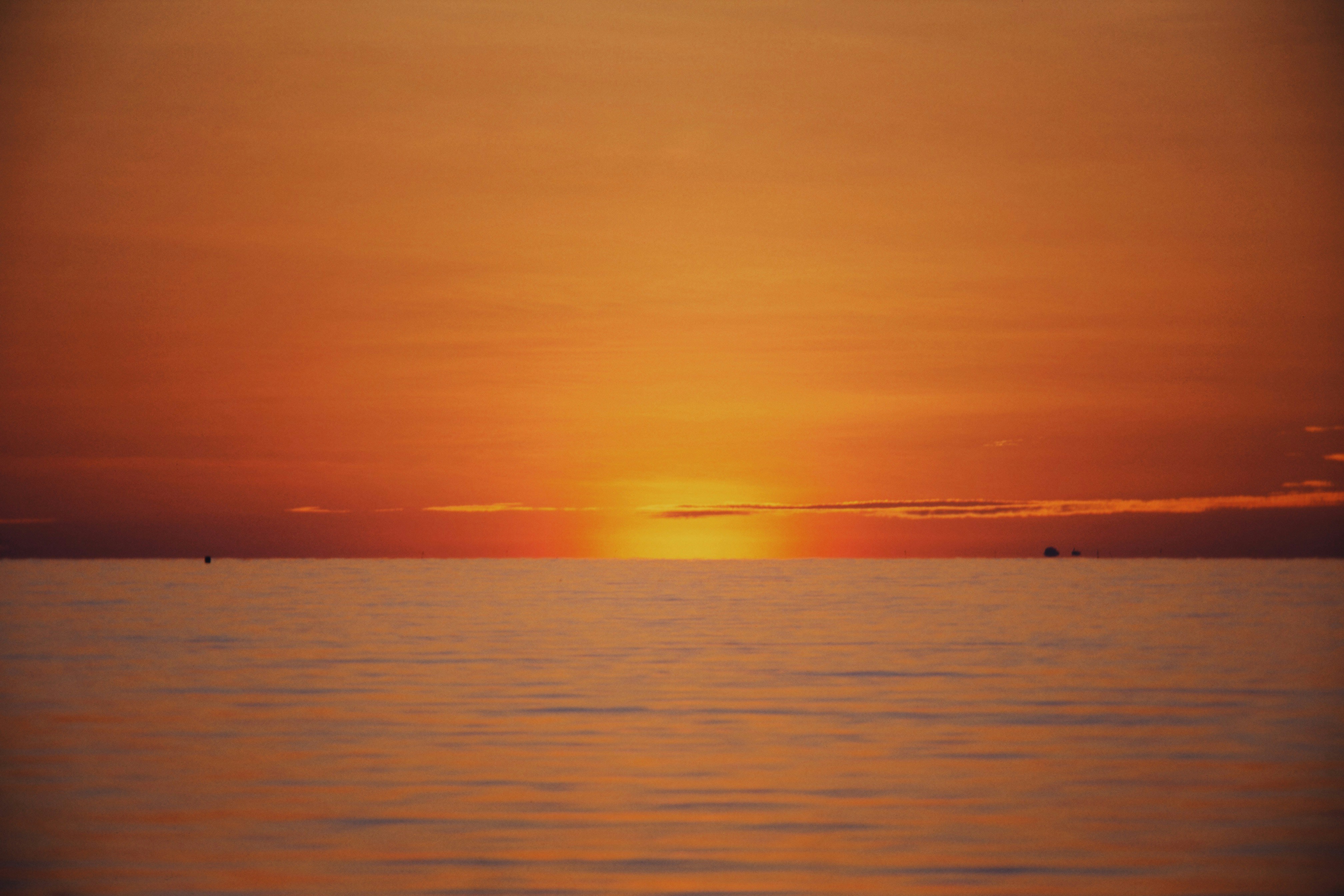 Photo by alexeydemidov