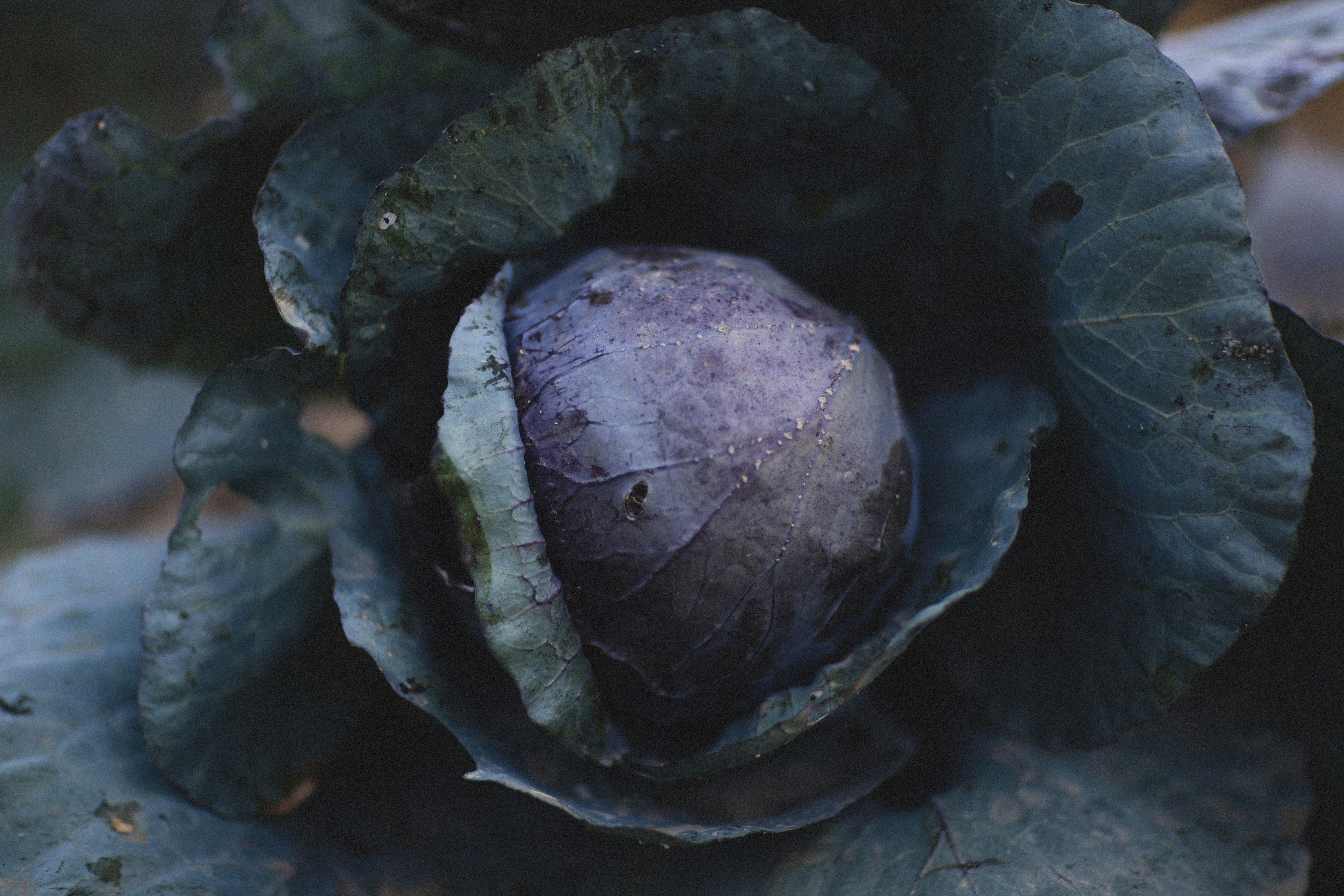 Photo by alexeydemidov