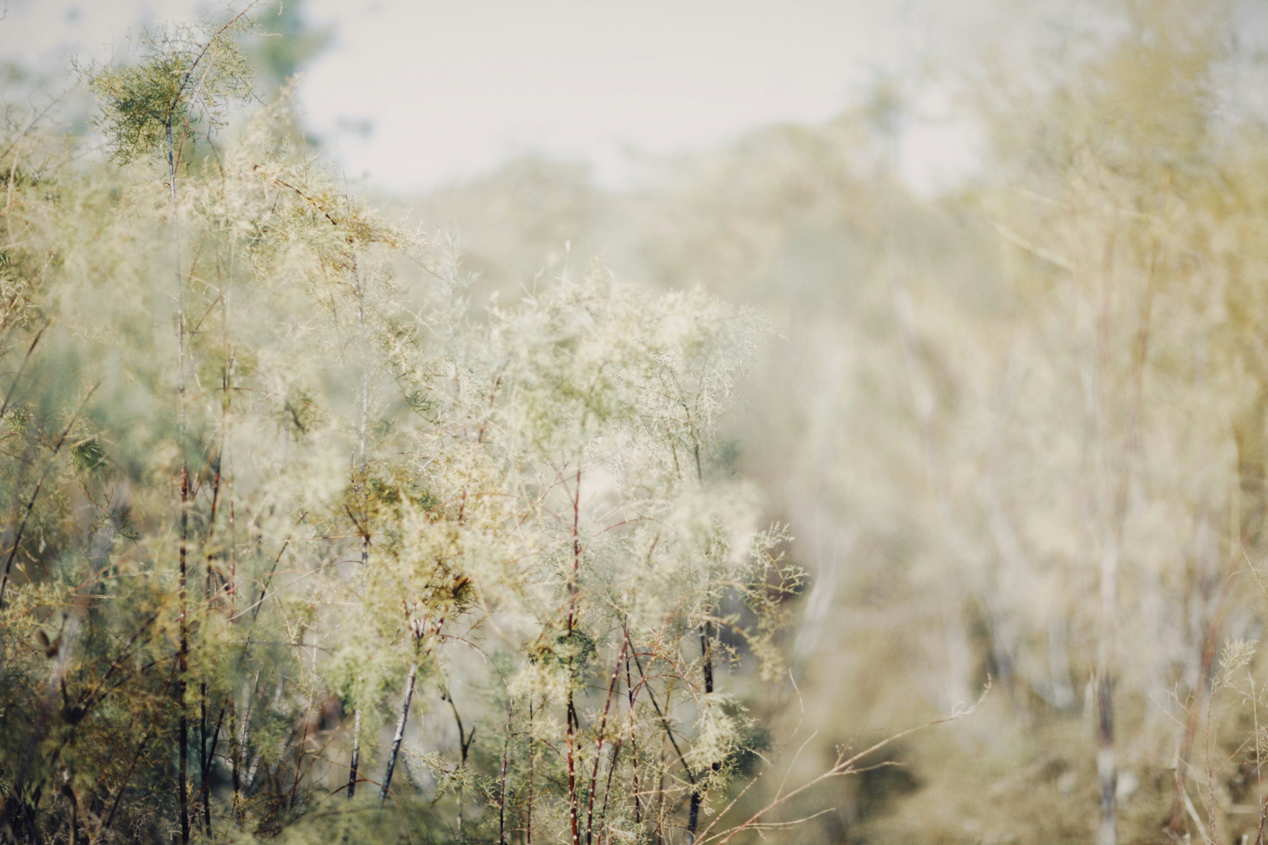 Photo by alexeydemidov