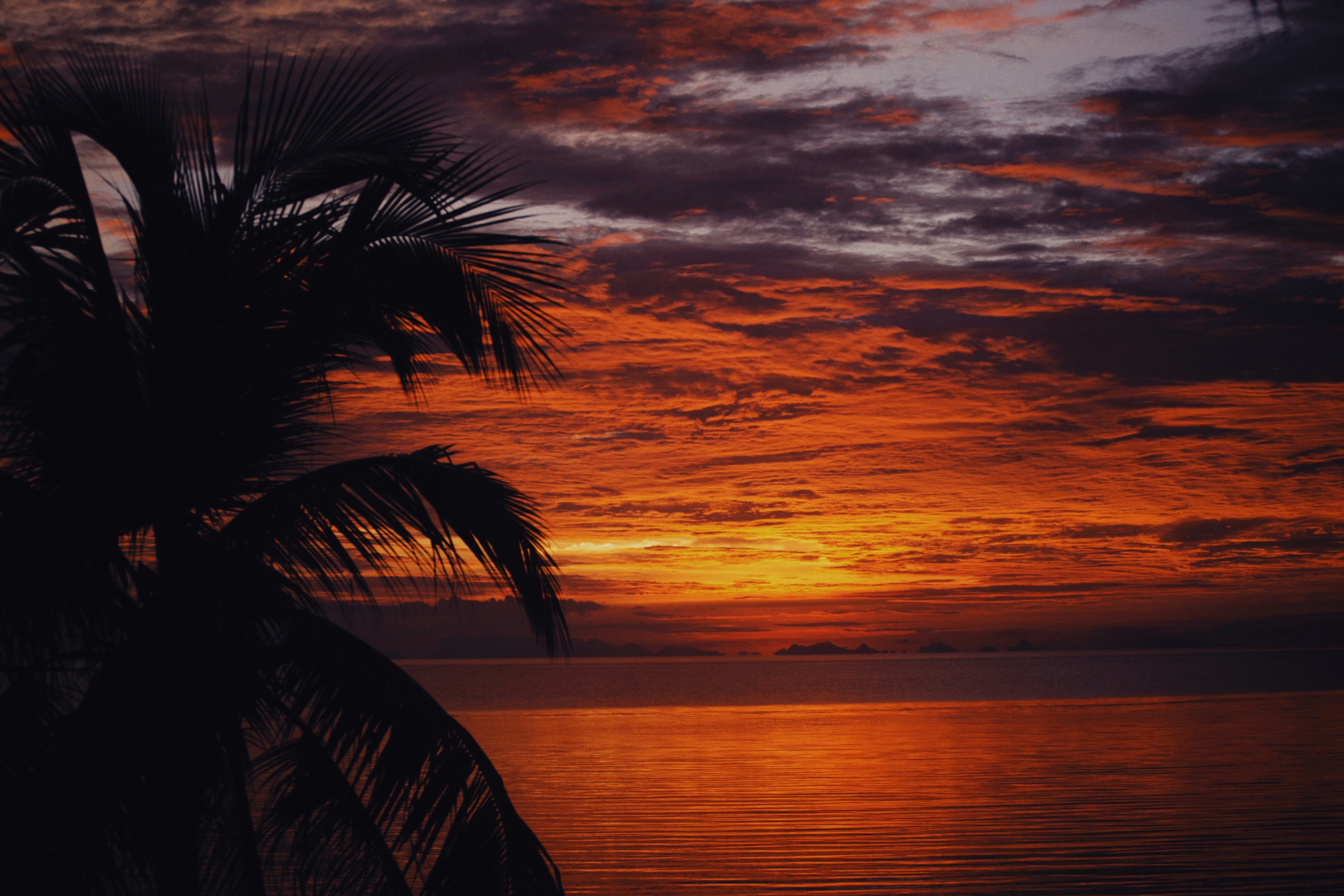 Photo by alexeydemidov