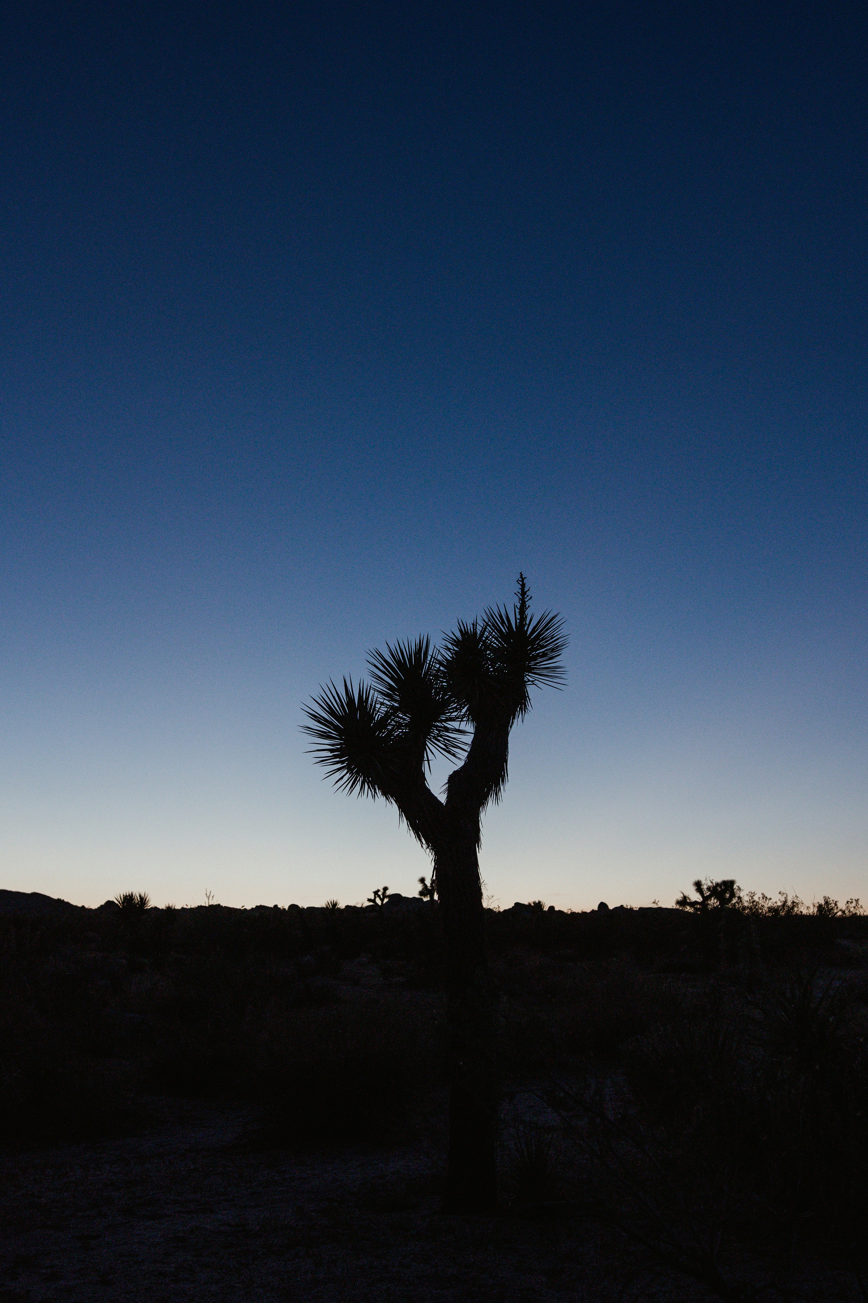 Photo by kasideekarsten