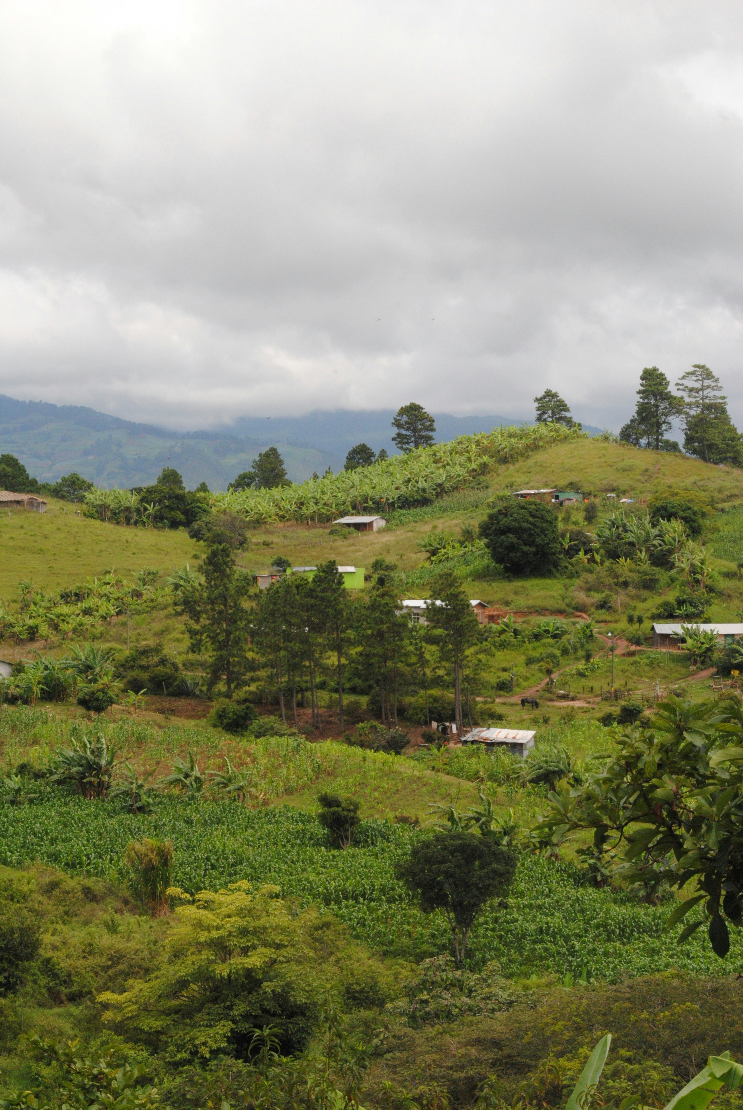 Photo by curiousjorge