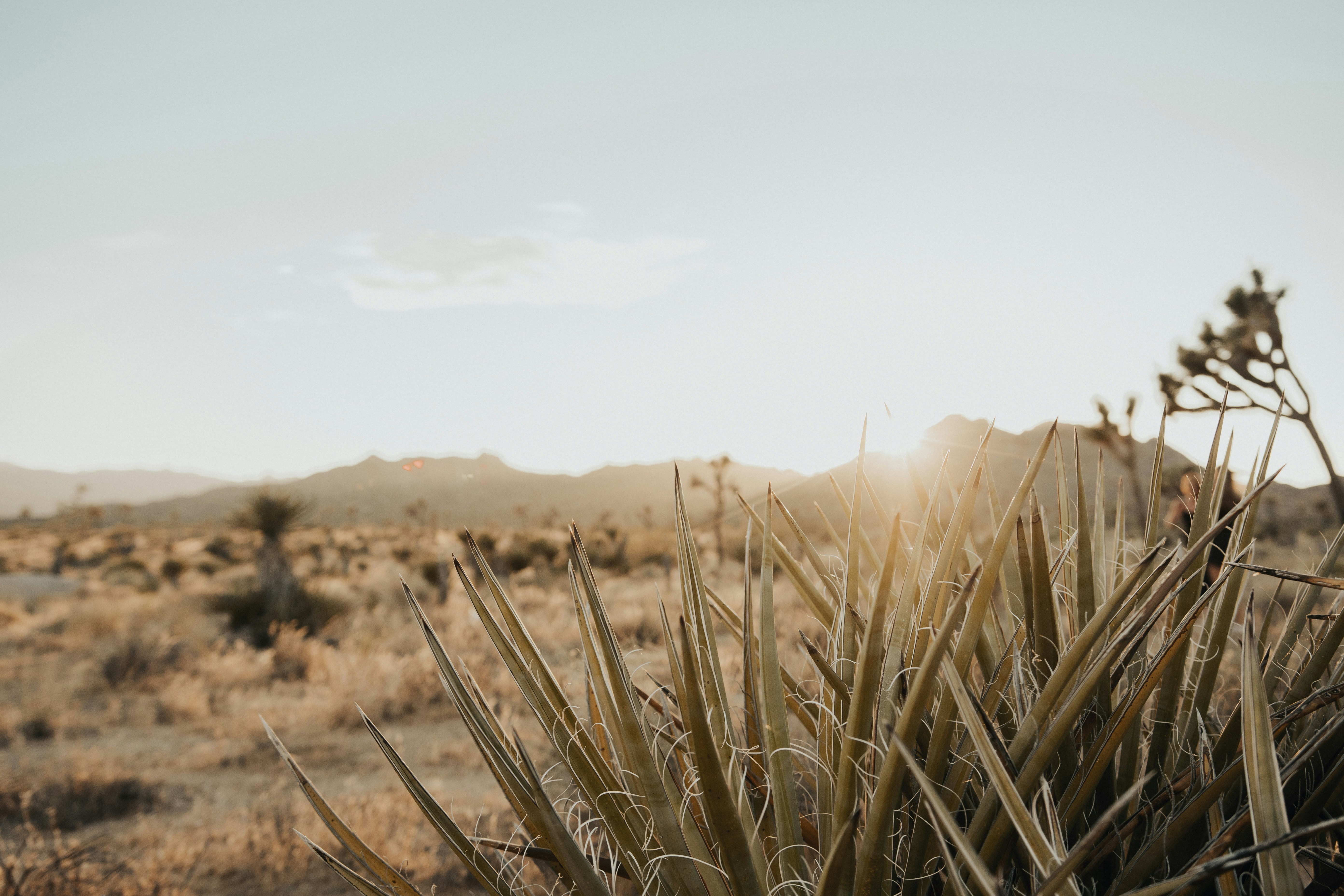 Photo by kasideekarsten