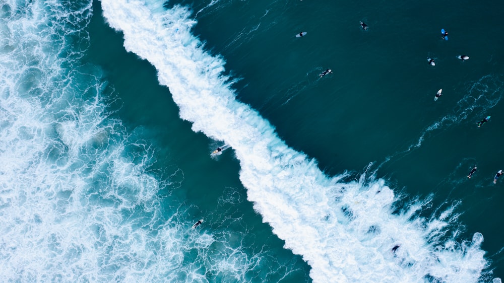 a group of people riding surfboards on top of a wave