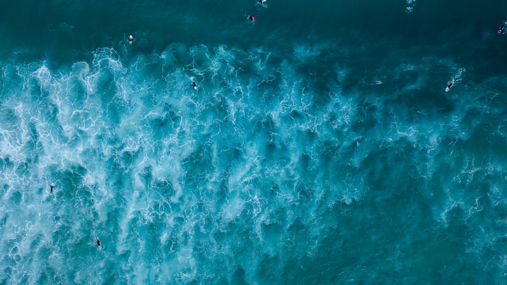 a group of people riding surfboards on top of a wave