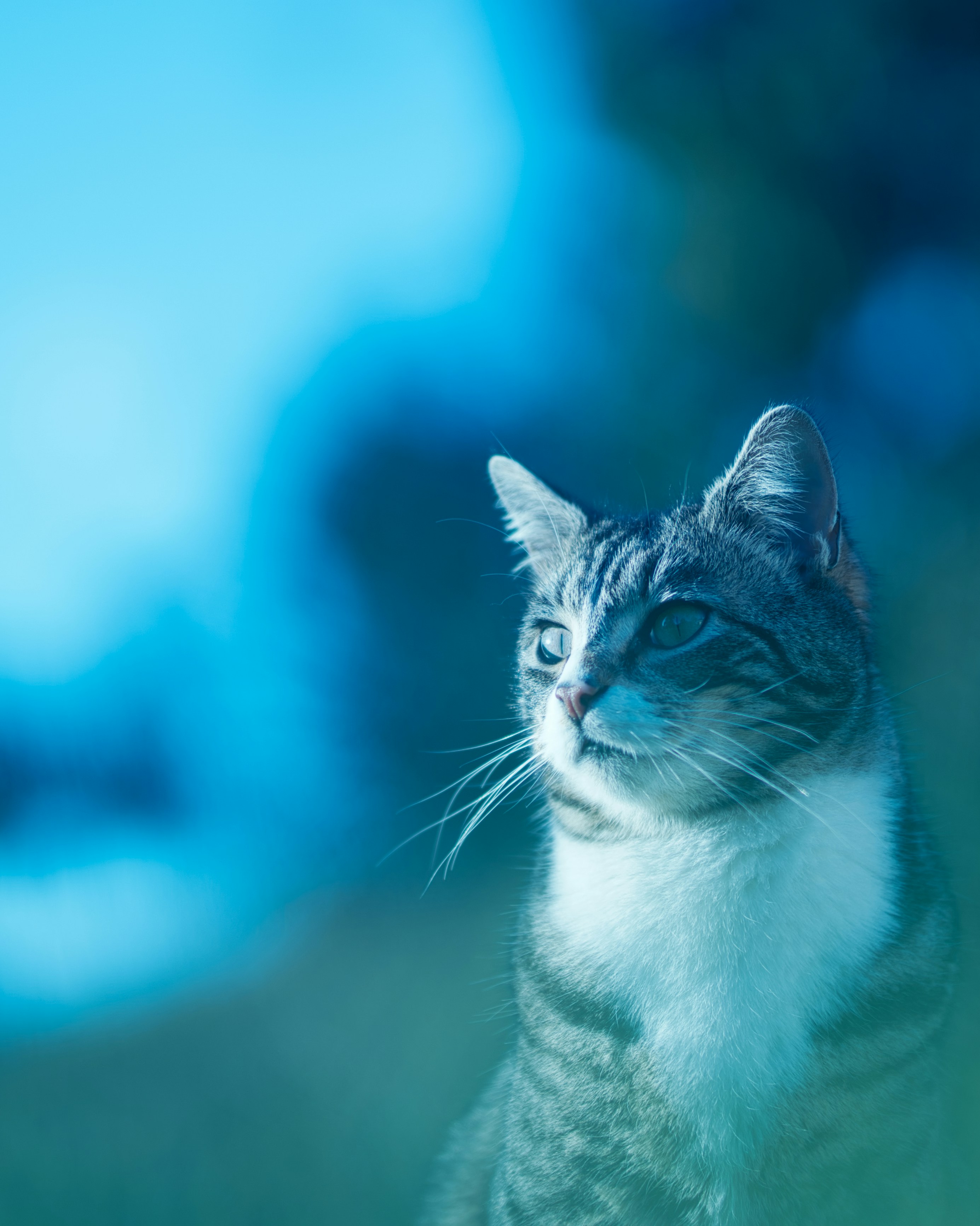 Photo by ravindrarawat2