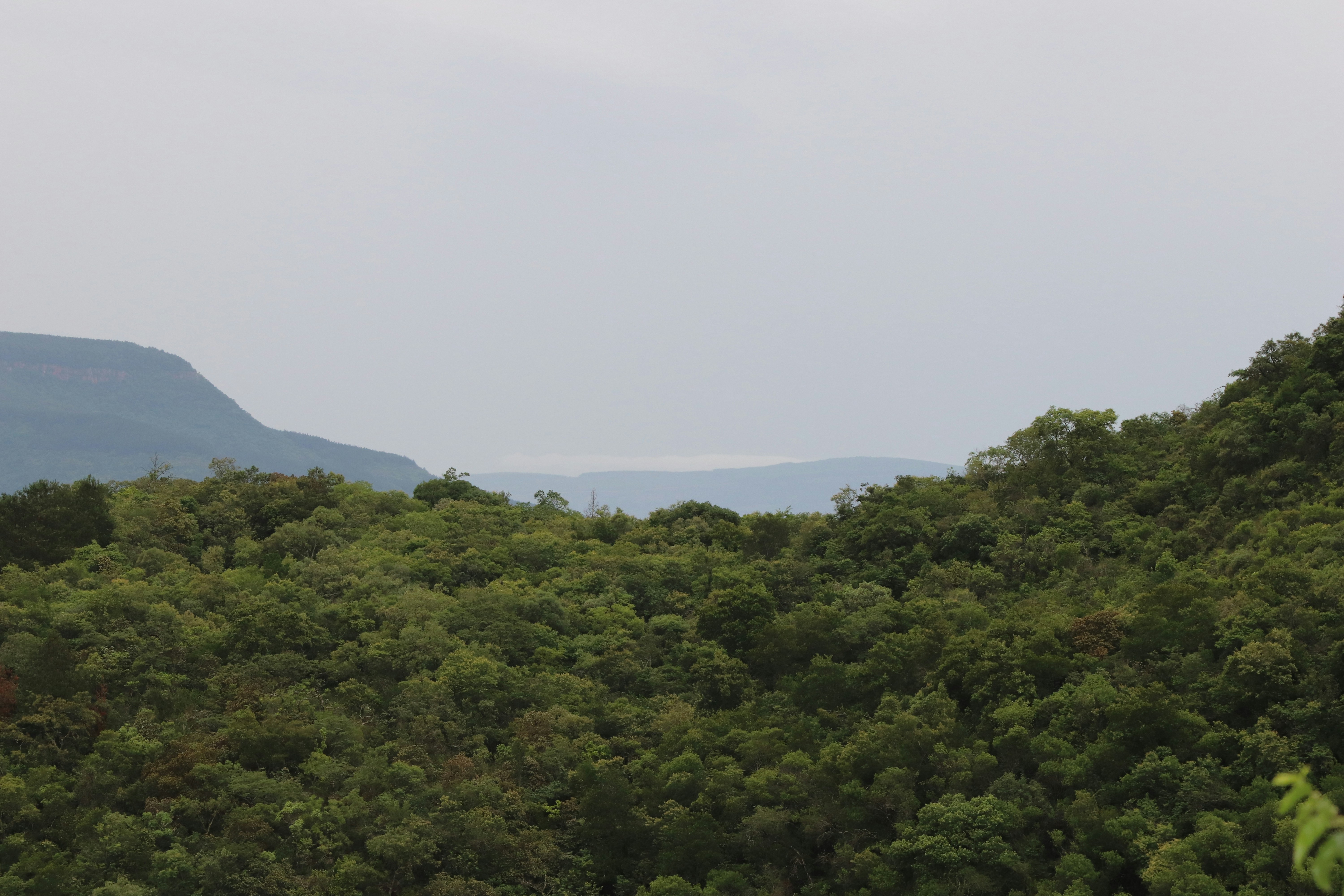 Photo by lutendo_mathomu