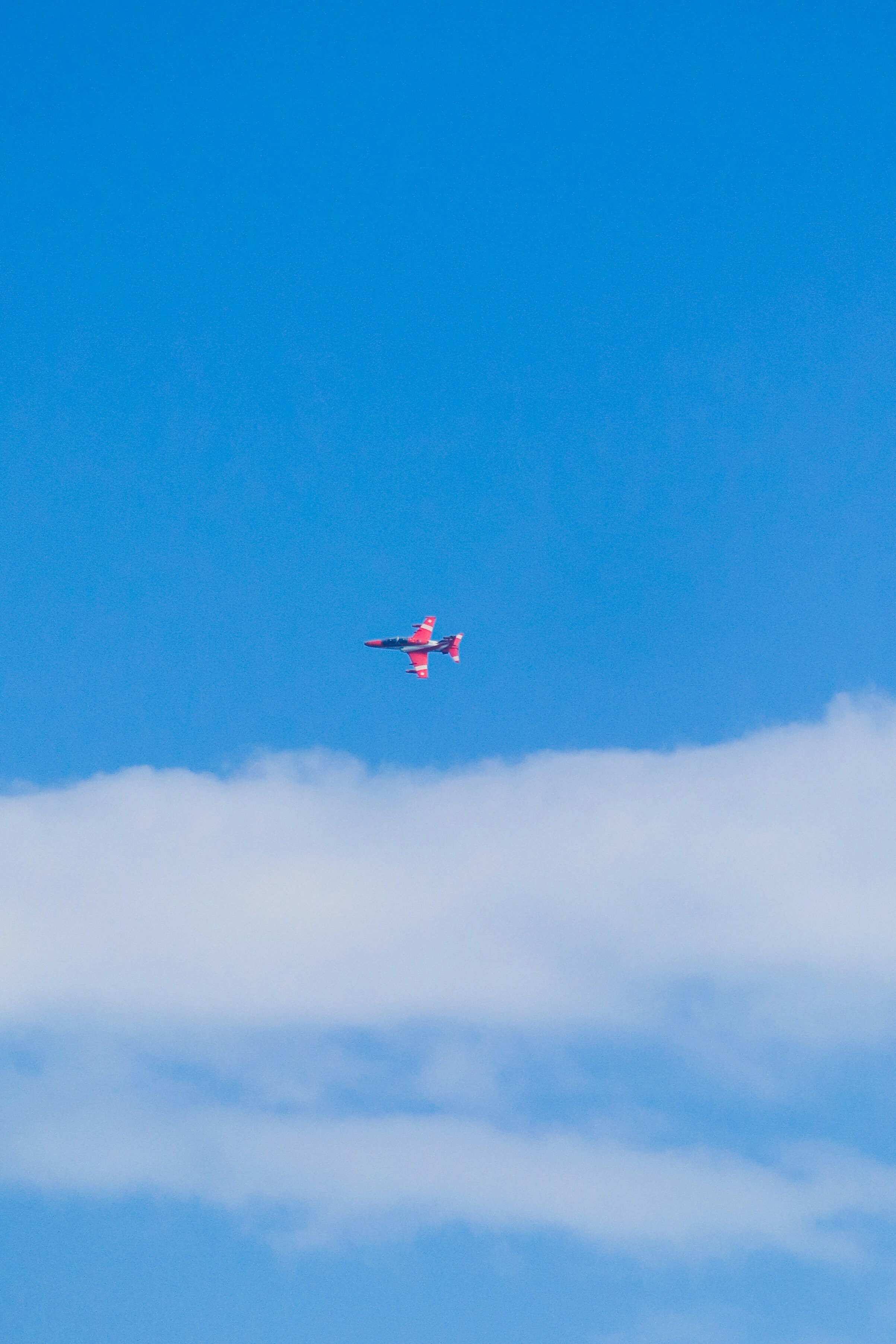 Photo by the92designs