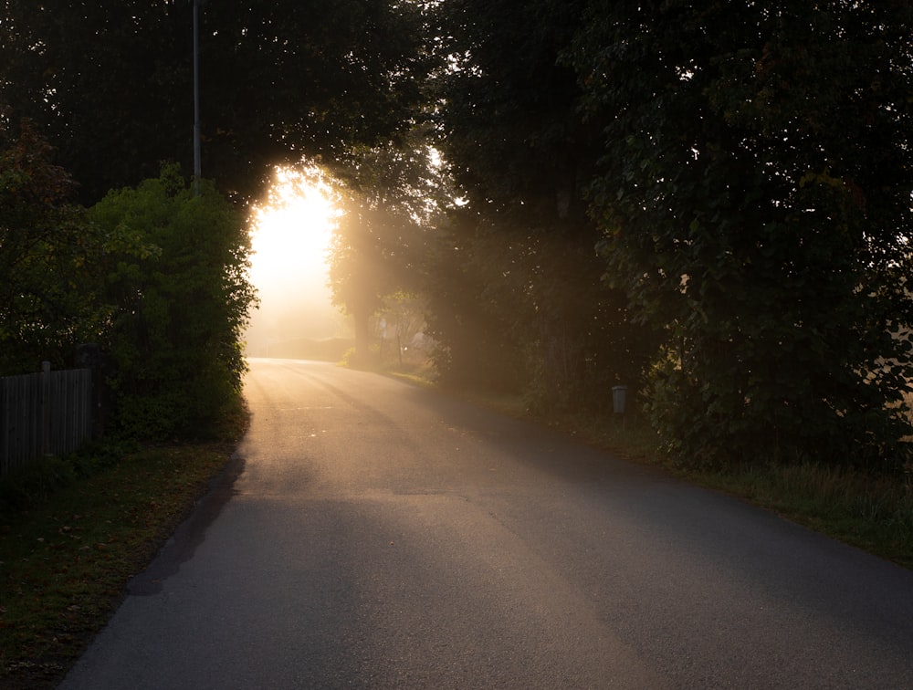 the sun is shining through the trees on the side of the road