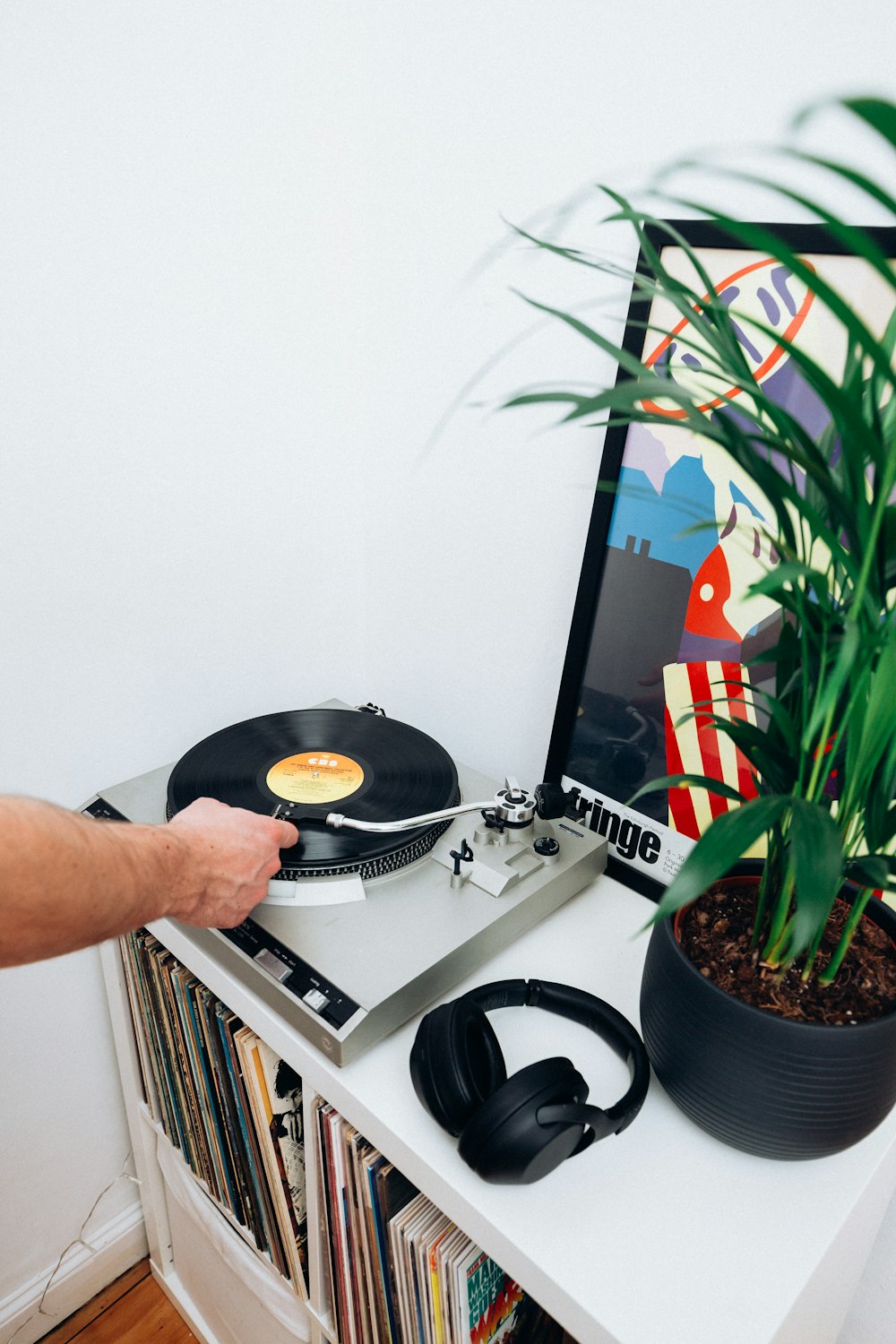 a person holding a record player next to a potted plant
