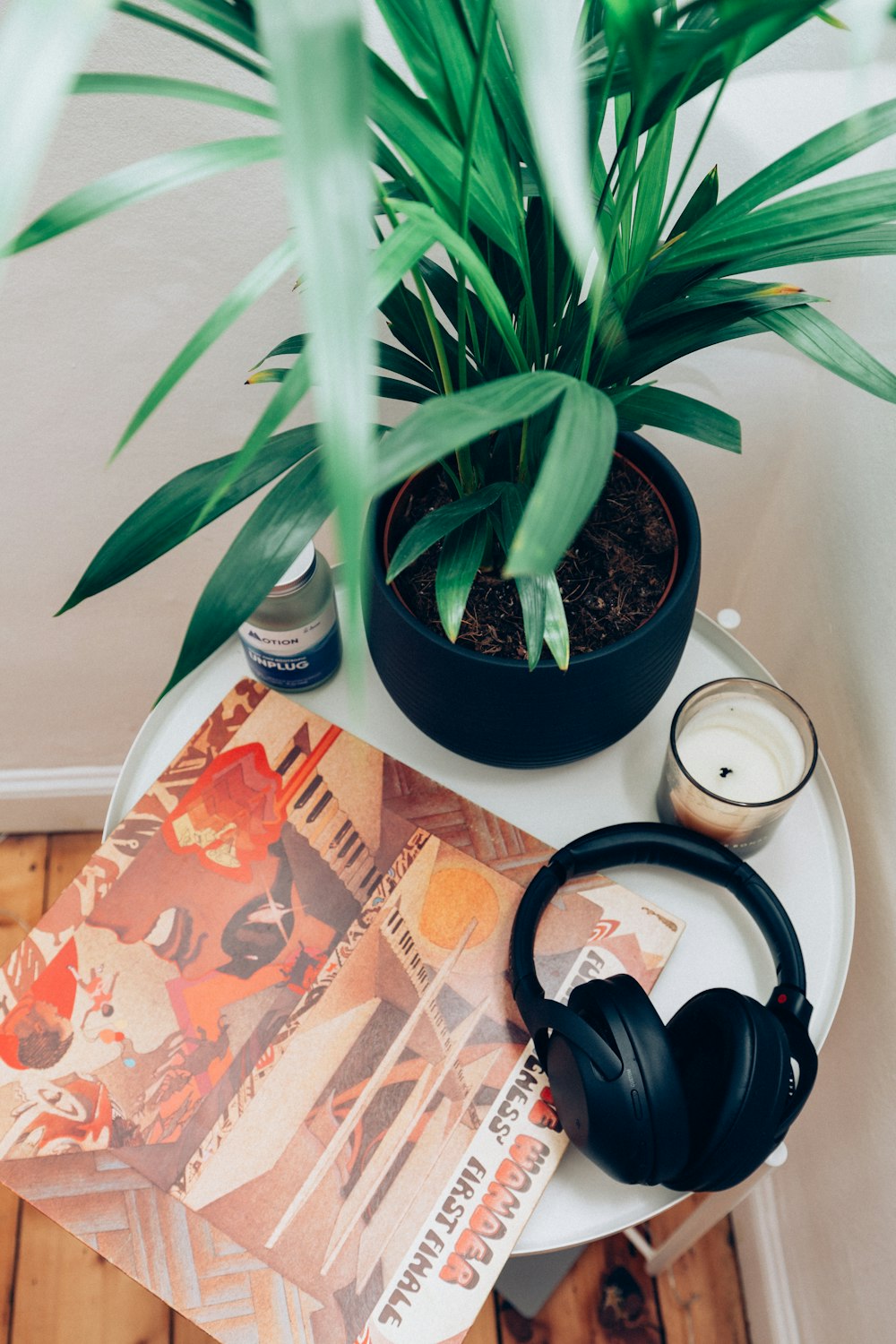 a white table topped with a plant and headphones