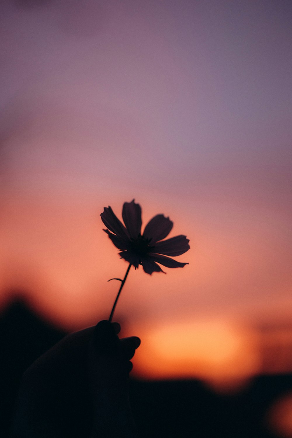 a person holding a flower in front of a sunset