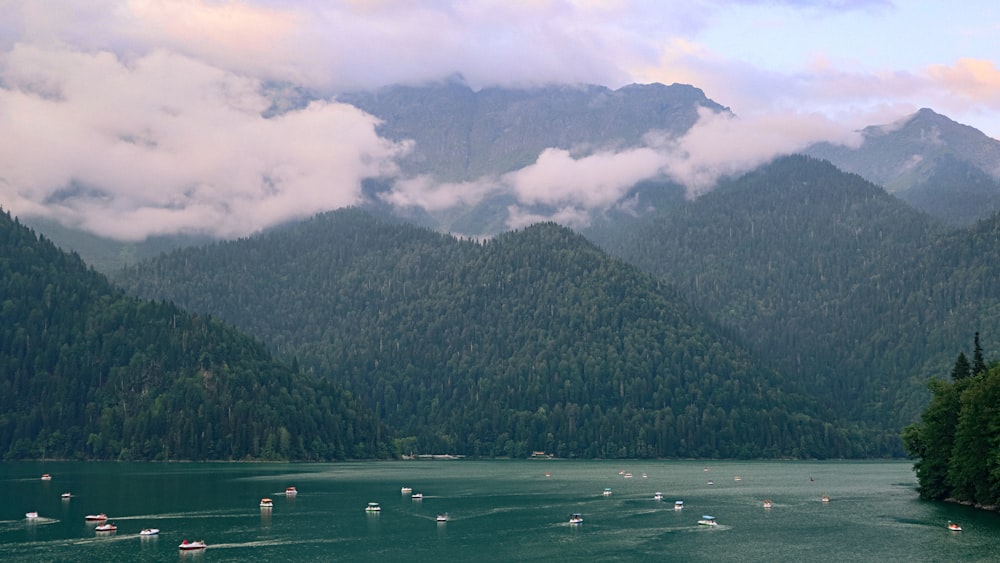 a body of water surrounded by mountains and trees