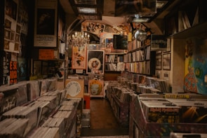 A cozy, dimly-lit record store with vinyl records neatly organized in bins. The walls are adorned with vibrant posters and framed pictures. A chandelier hangs from the ceiling, adding a vintage touch. The space feels cluttered yet inviting, filled with eclectic music paraphernalia.