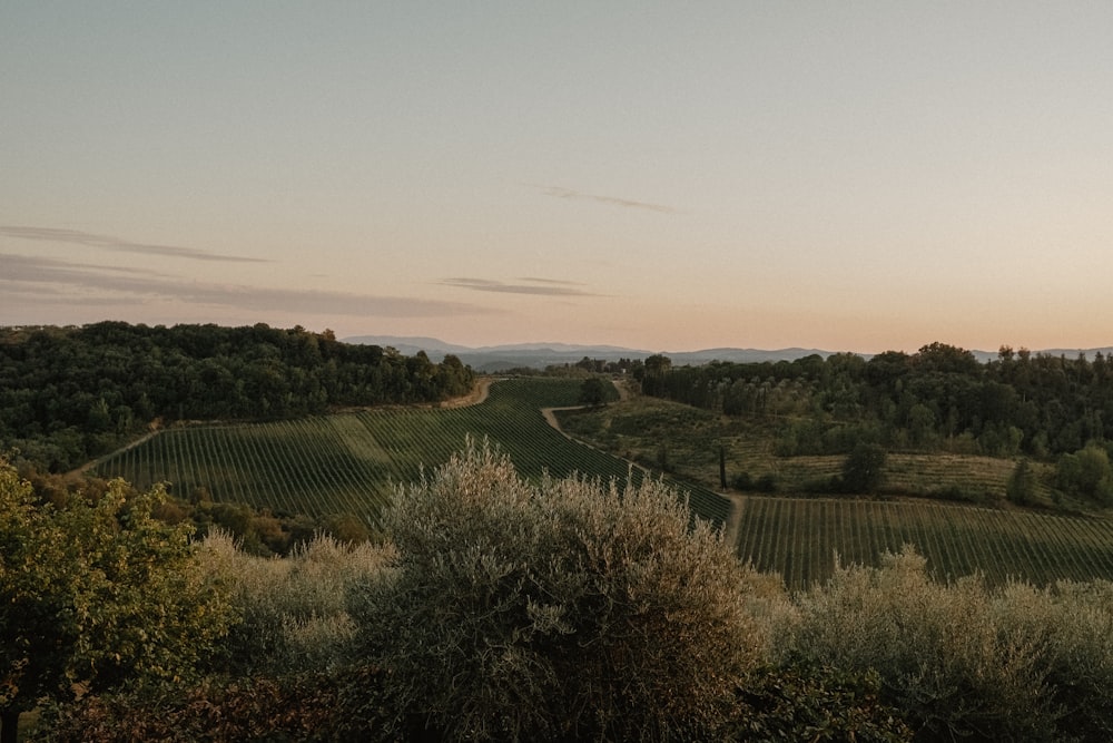 a view of a field with trees and hills in the distance