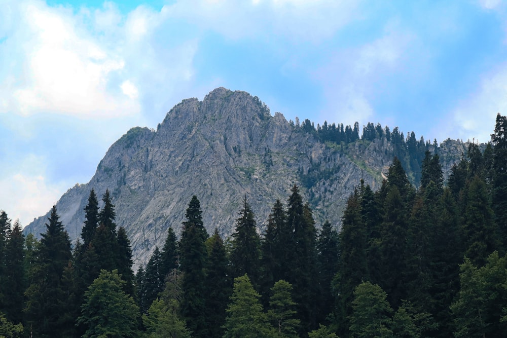 a large mountain with trees in the foreground and a blue sky in the background