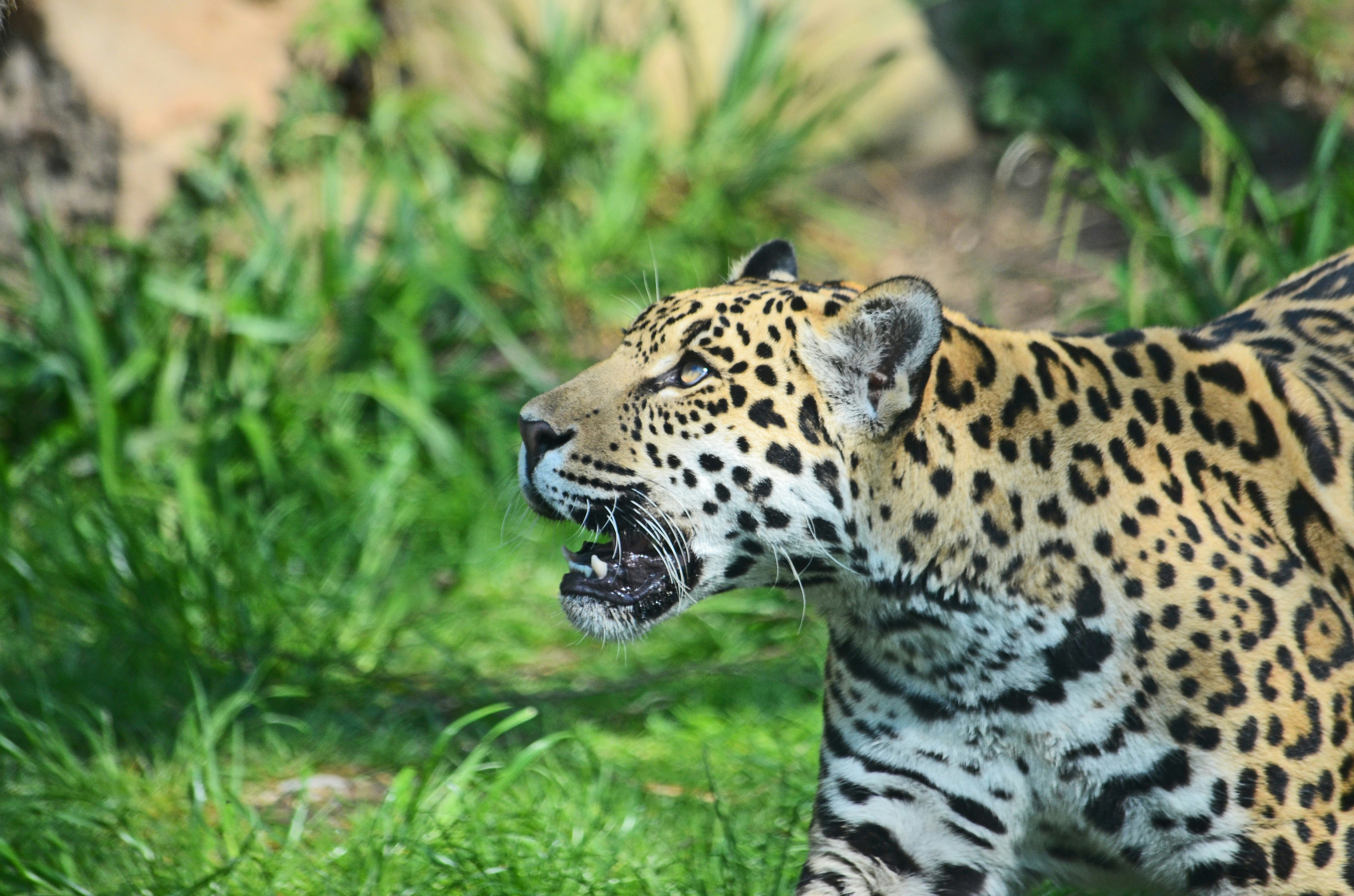 Photo by krawalliersdelikt