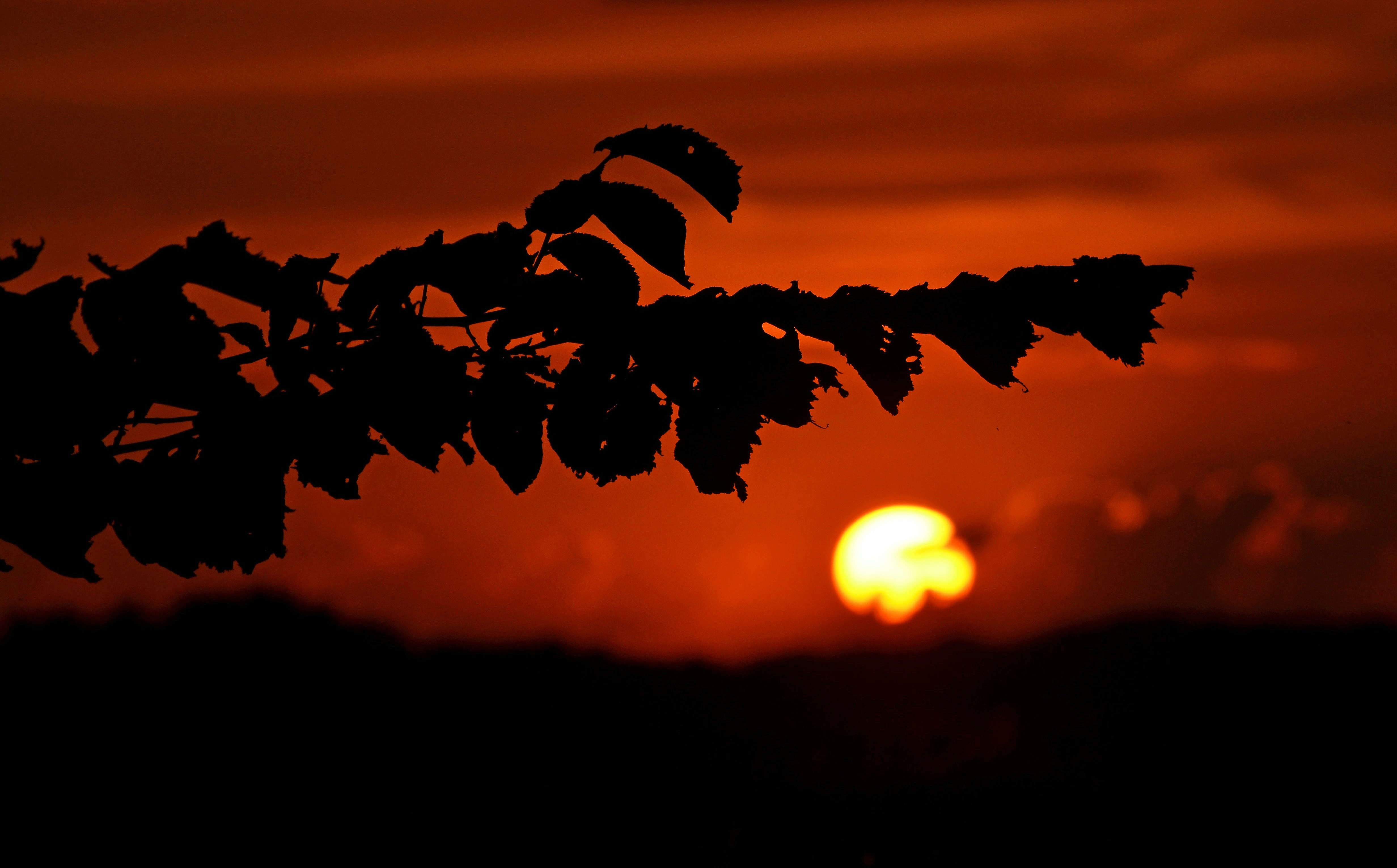 Photo by krawalliersdelikt