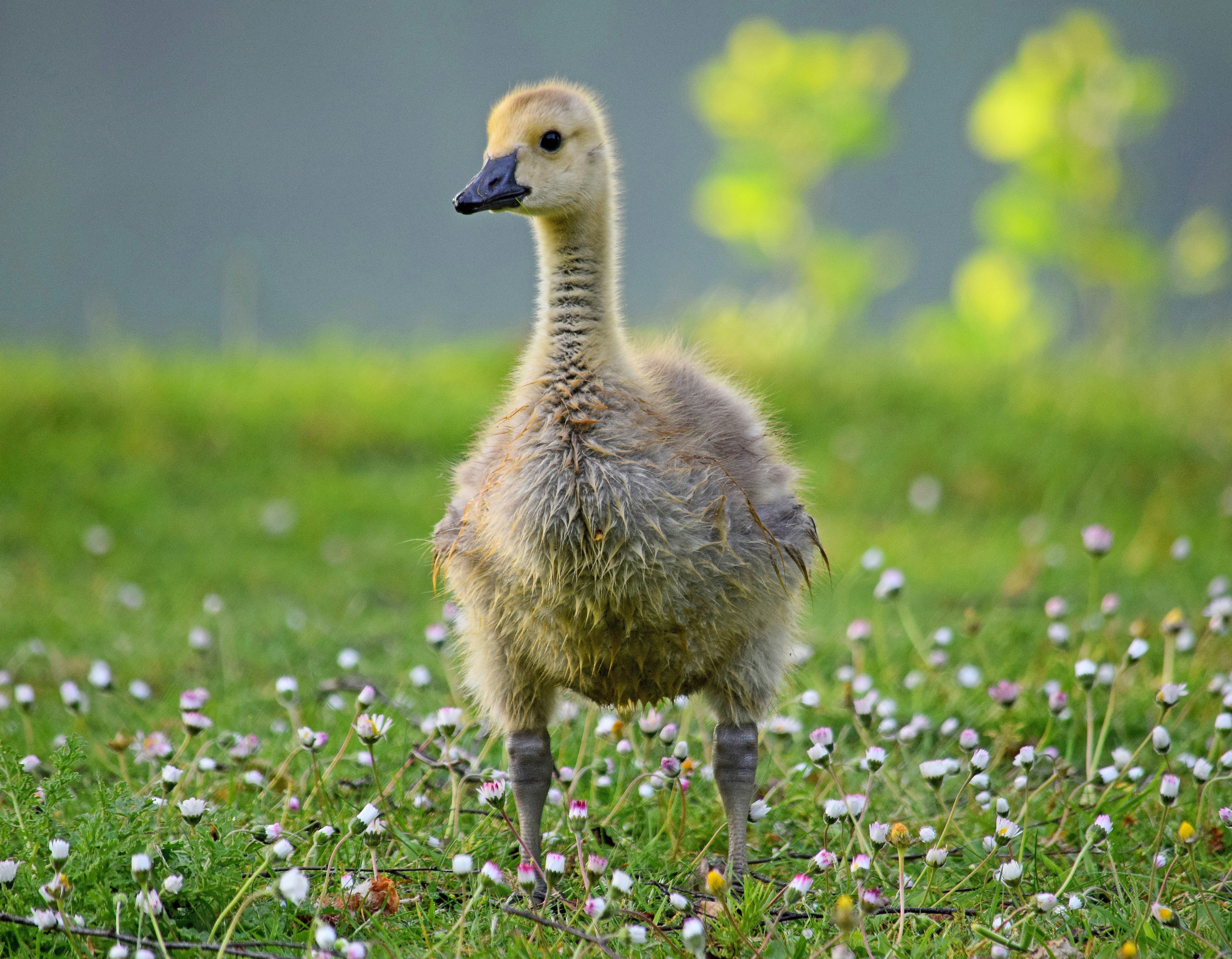 Photo by krawalliersdelikt