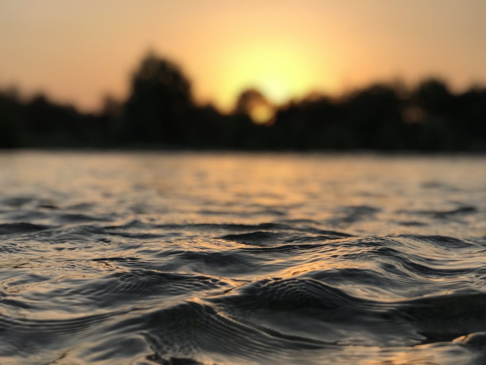 a body of water with trees in the background