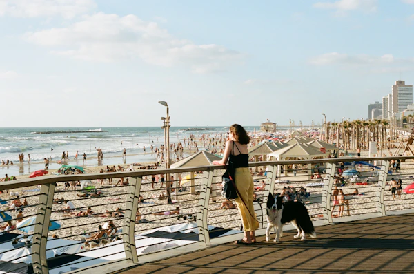 Dog Training Hollywood and Hallandale: The Underrated Broward Dog Scene