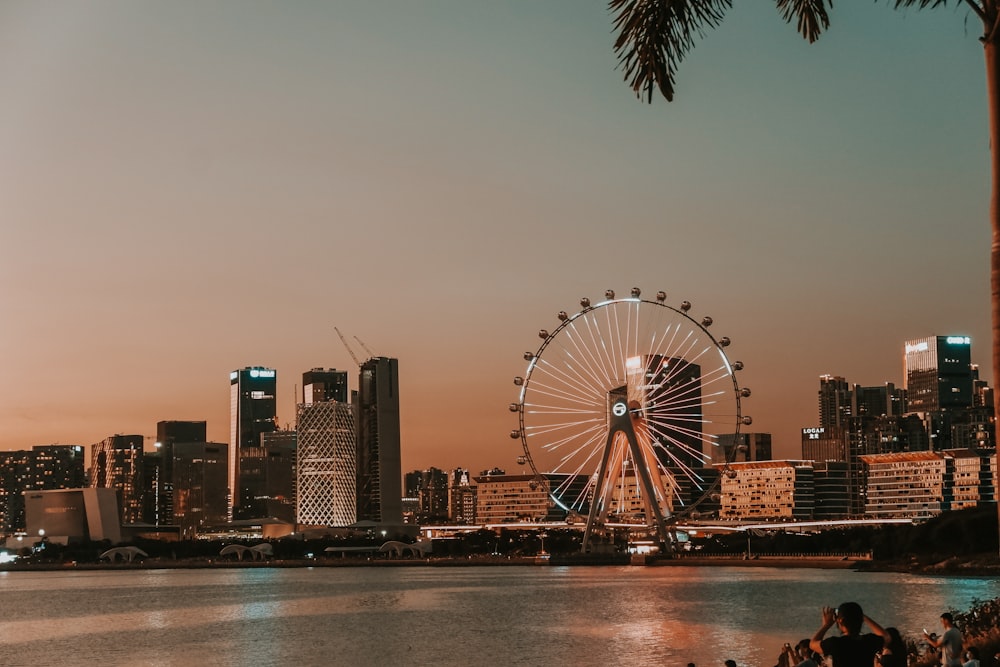 a ferris wheel in the middle of a city