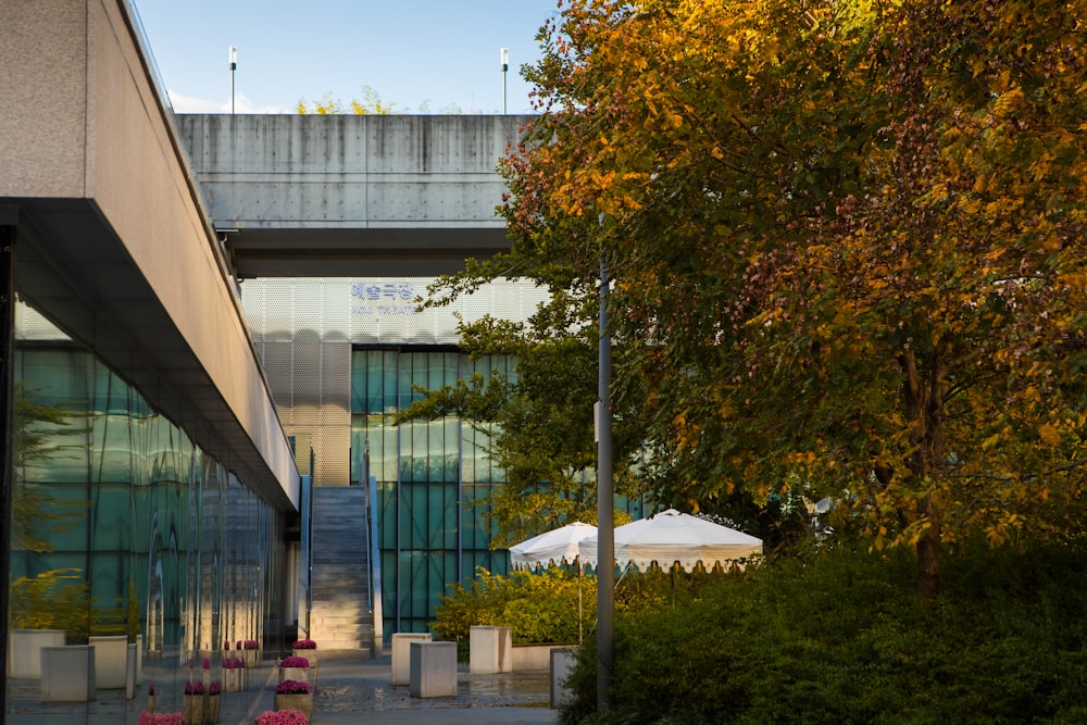 a building that has a bunch of trees in front of it