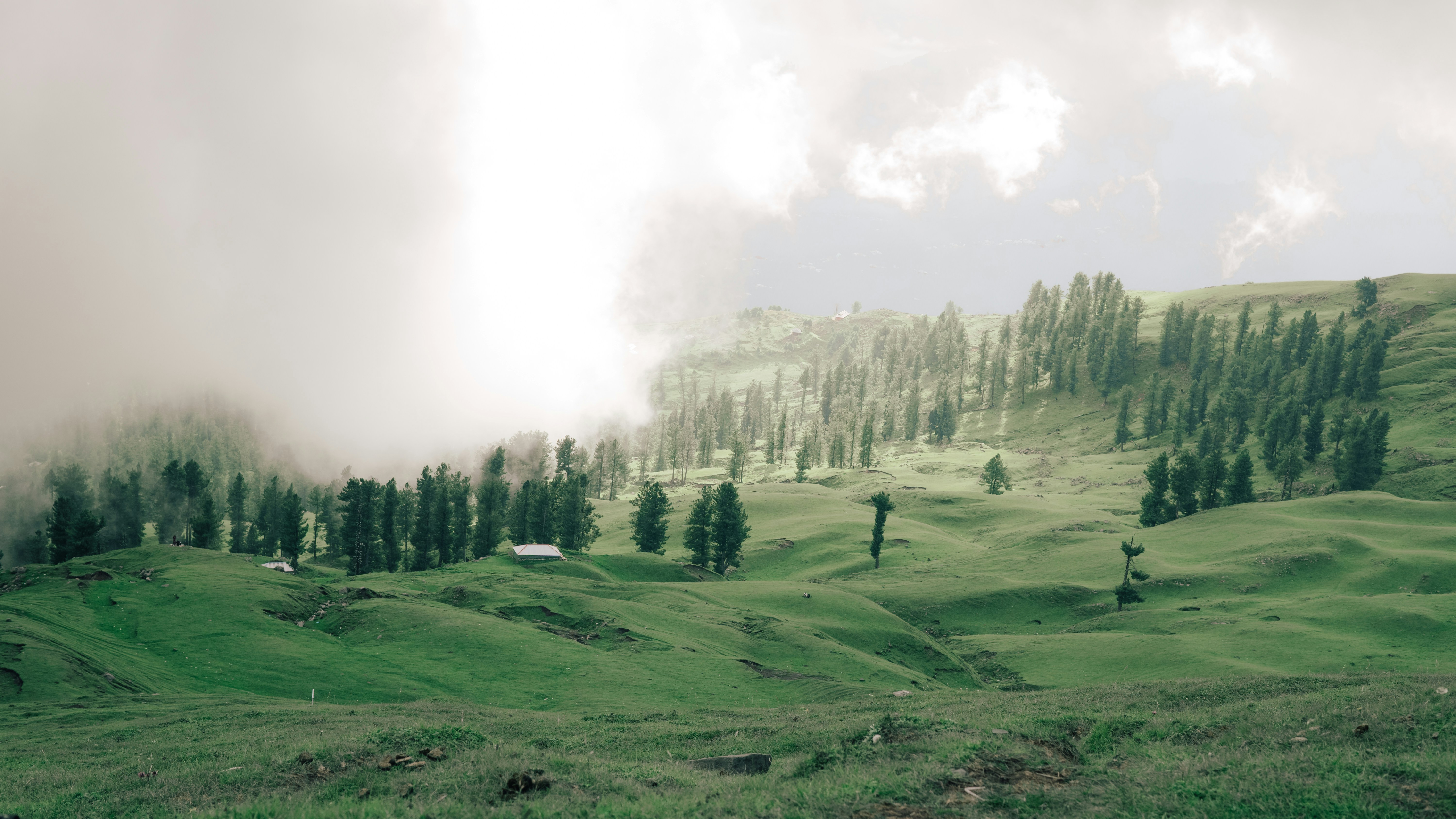 Photo by abdullah_photography