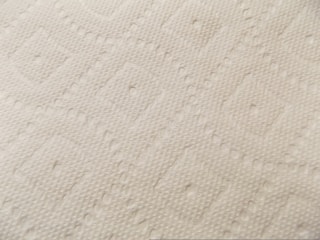 A close-up view of a textured surface, possibly a fabric or paper material, with an embossed diamond pattern. The surface appears soft with small raised dots and linear designs throughout, giving it a tactile appearance.