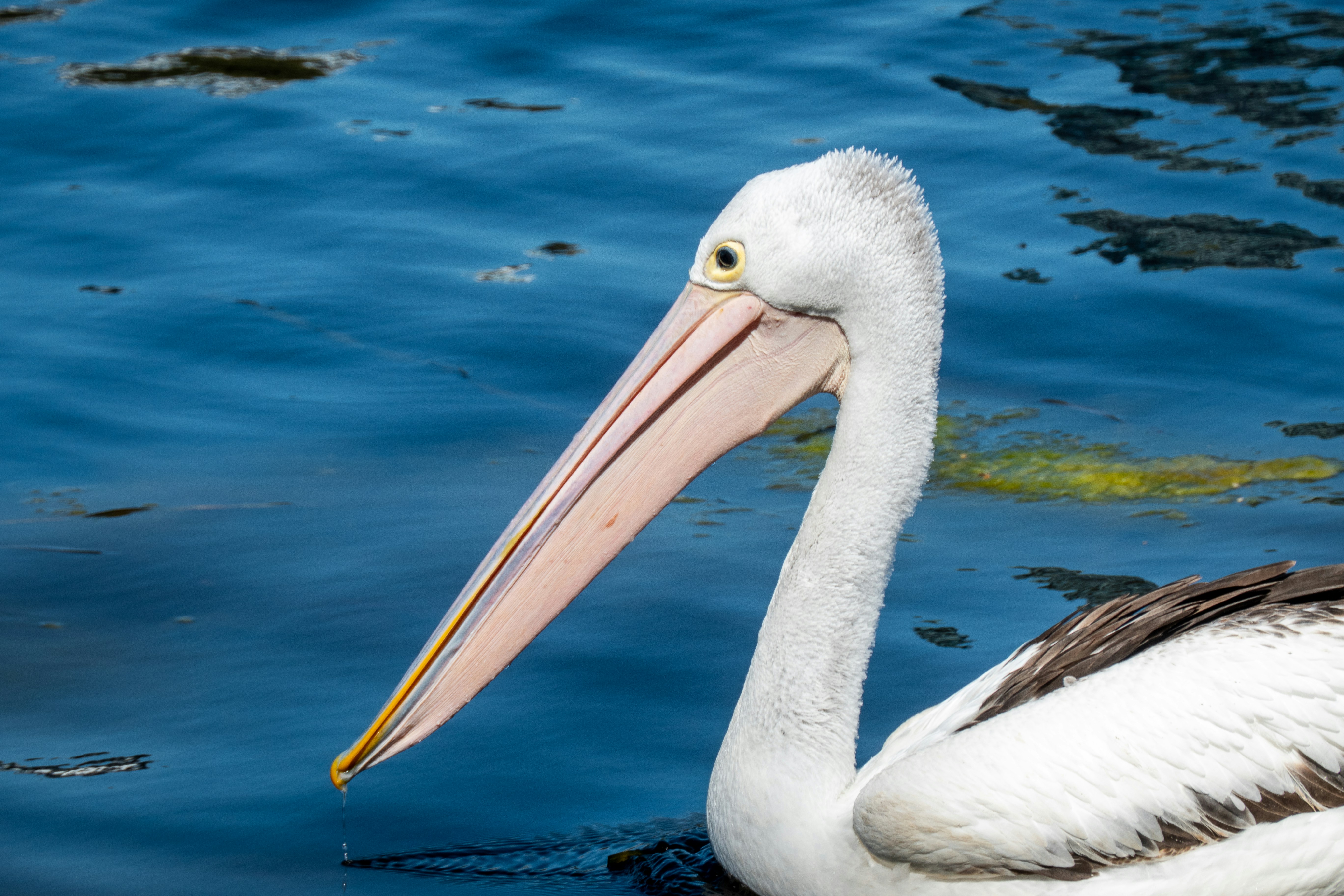 Photo by partial_exposure