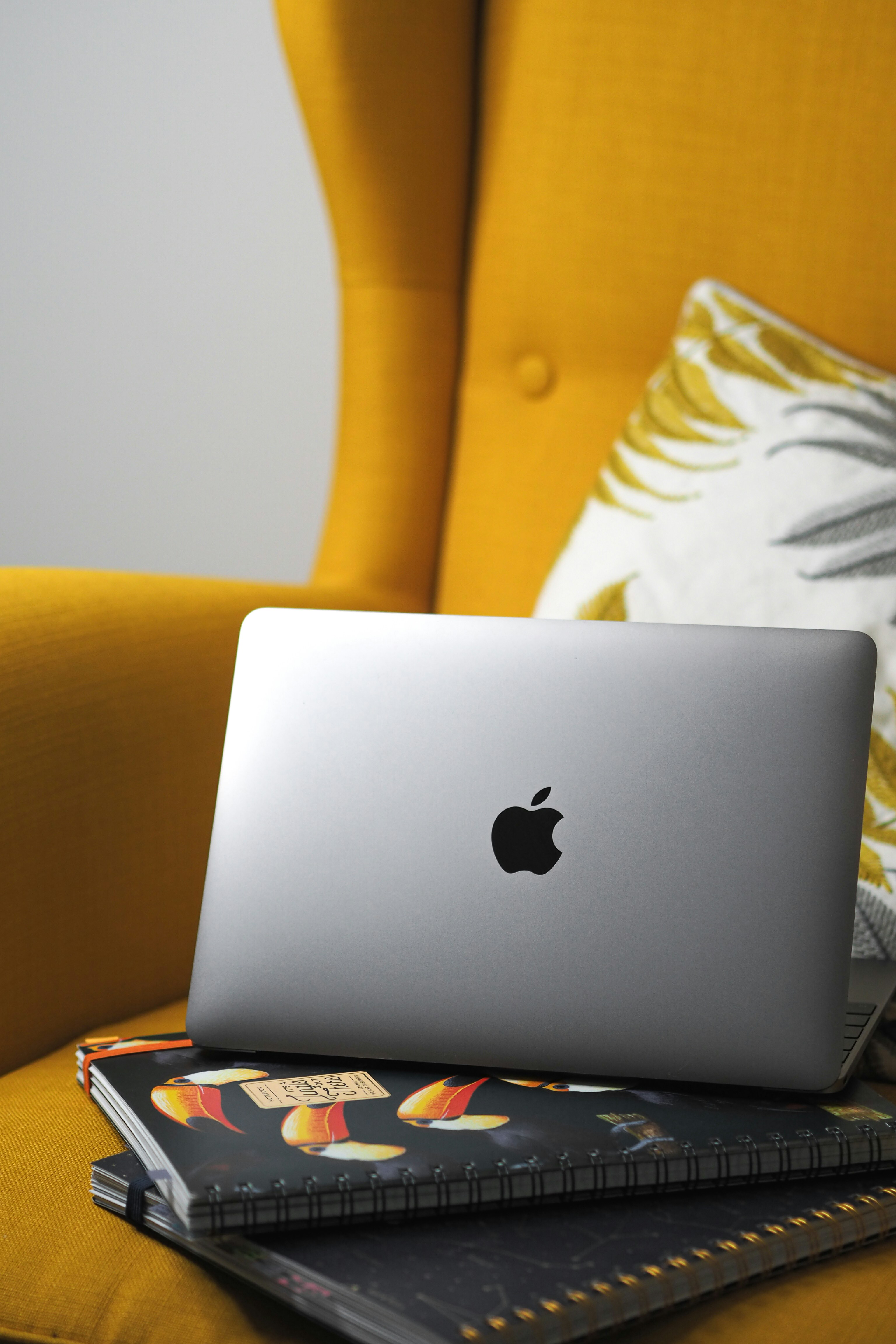 Photo by laurachouette