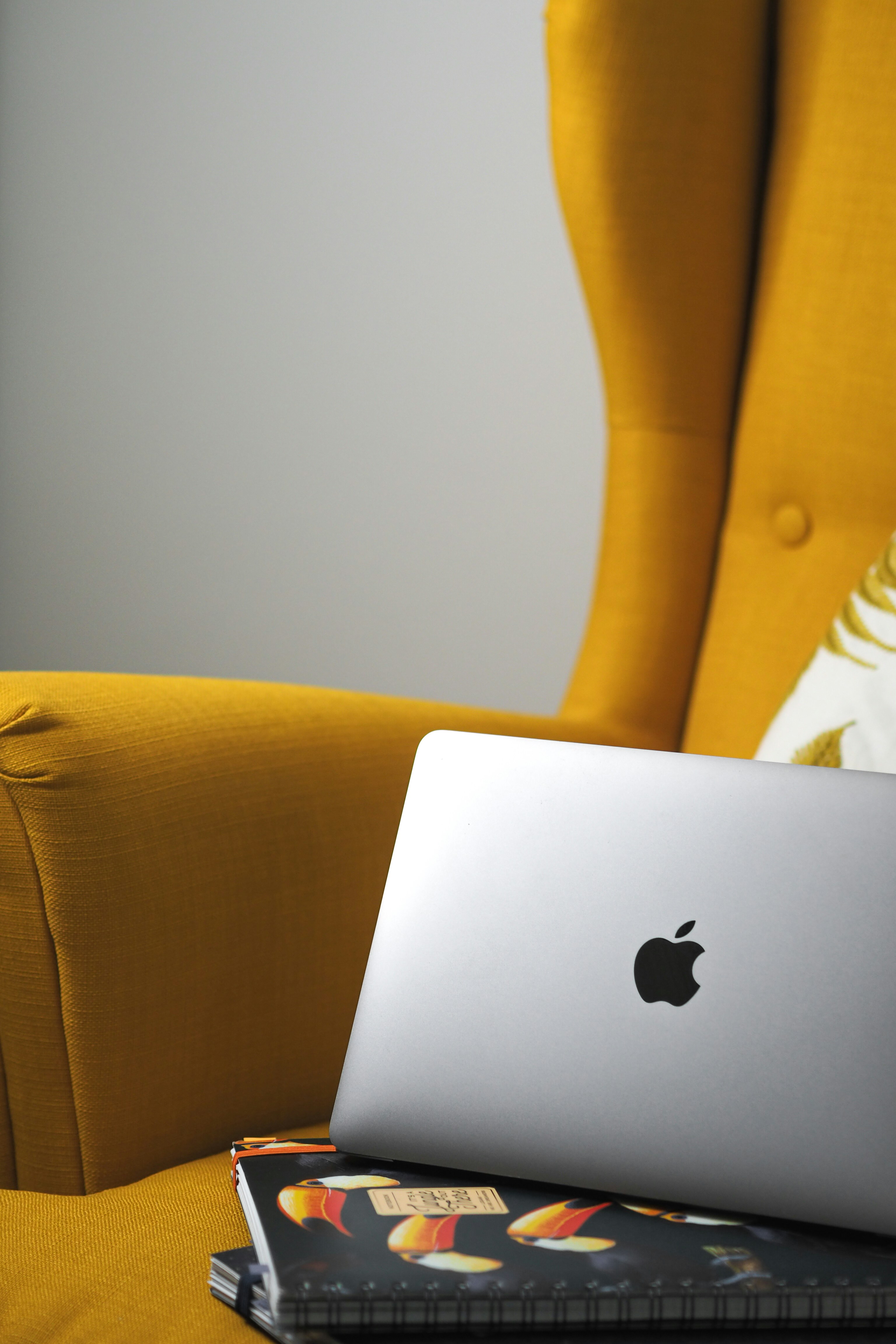 Photo by laurachouette