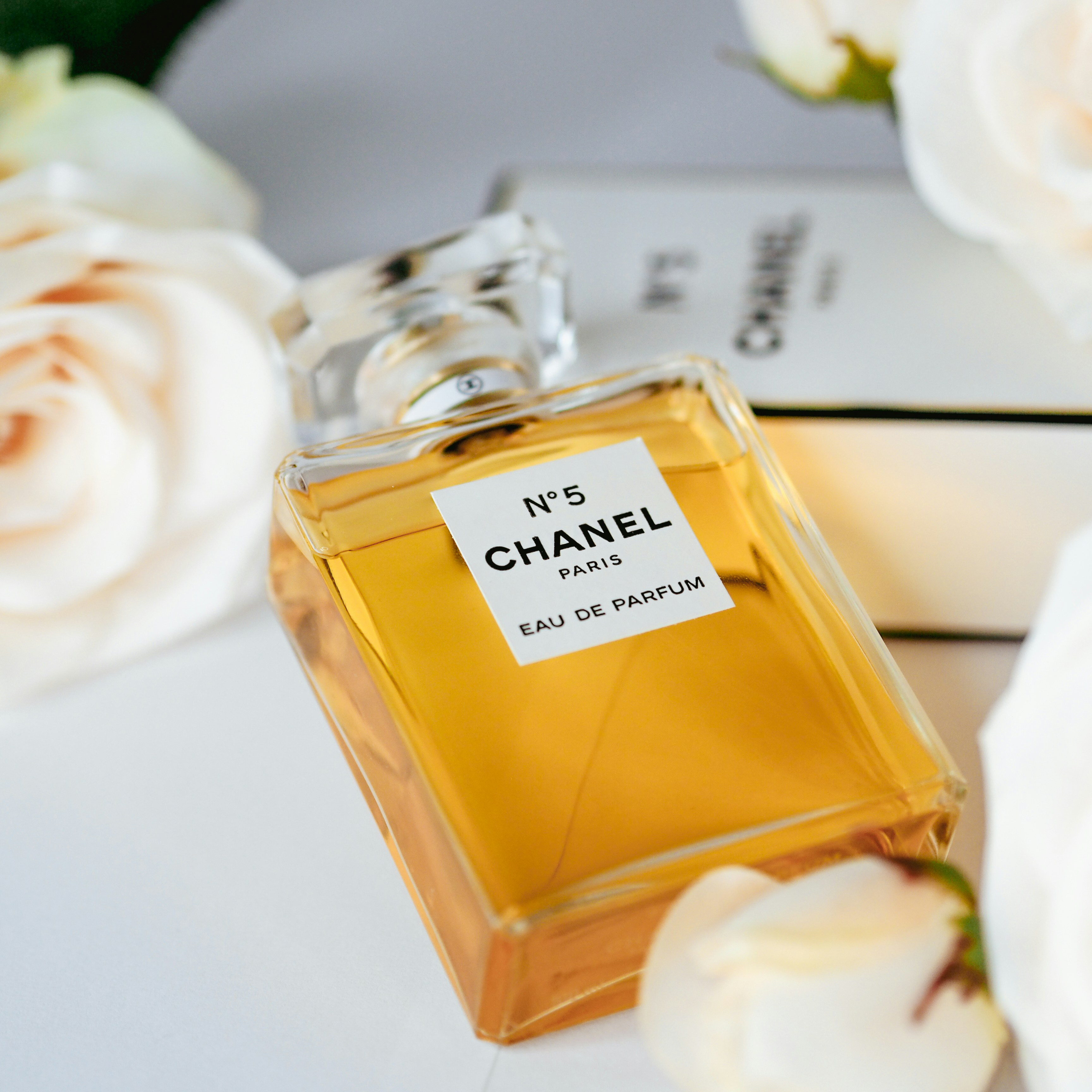 Photo by laurachouette