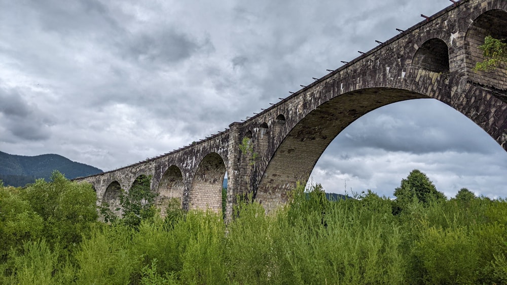 a stone bridge over a lush green forest under a cloudy sky