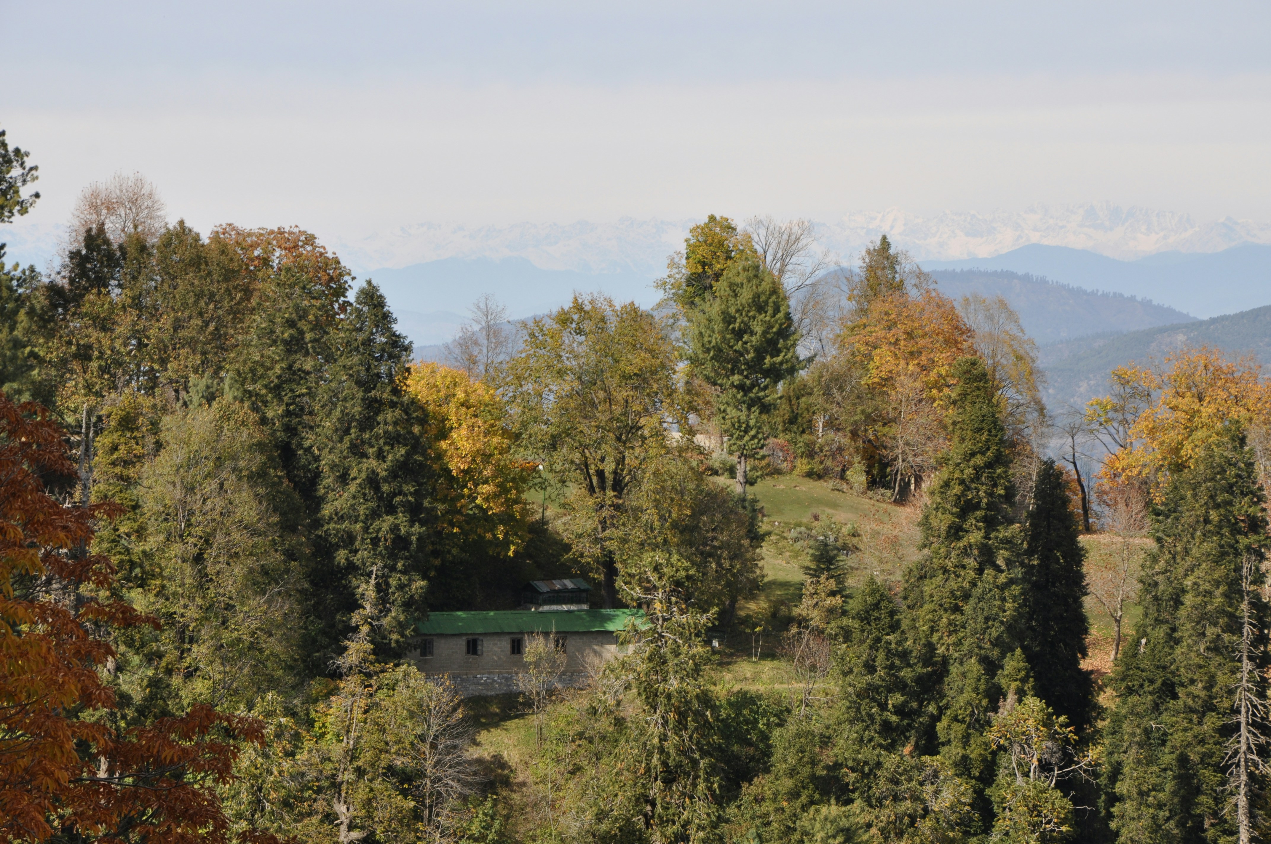 Photo by isaac_wajid