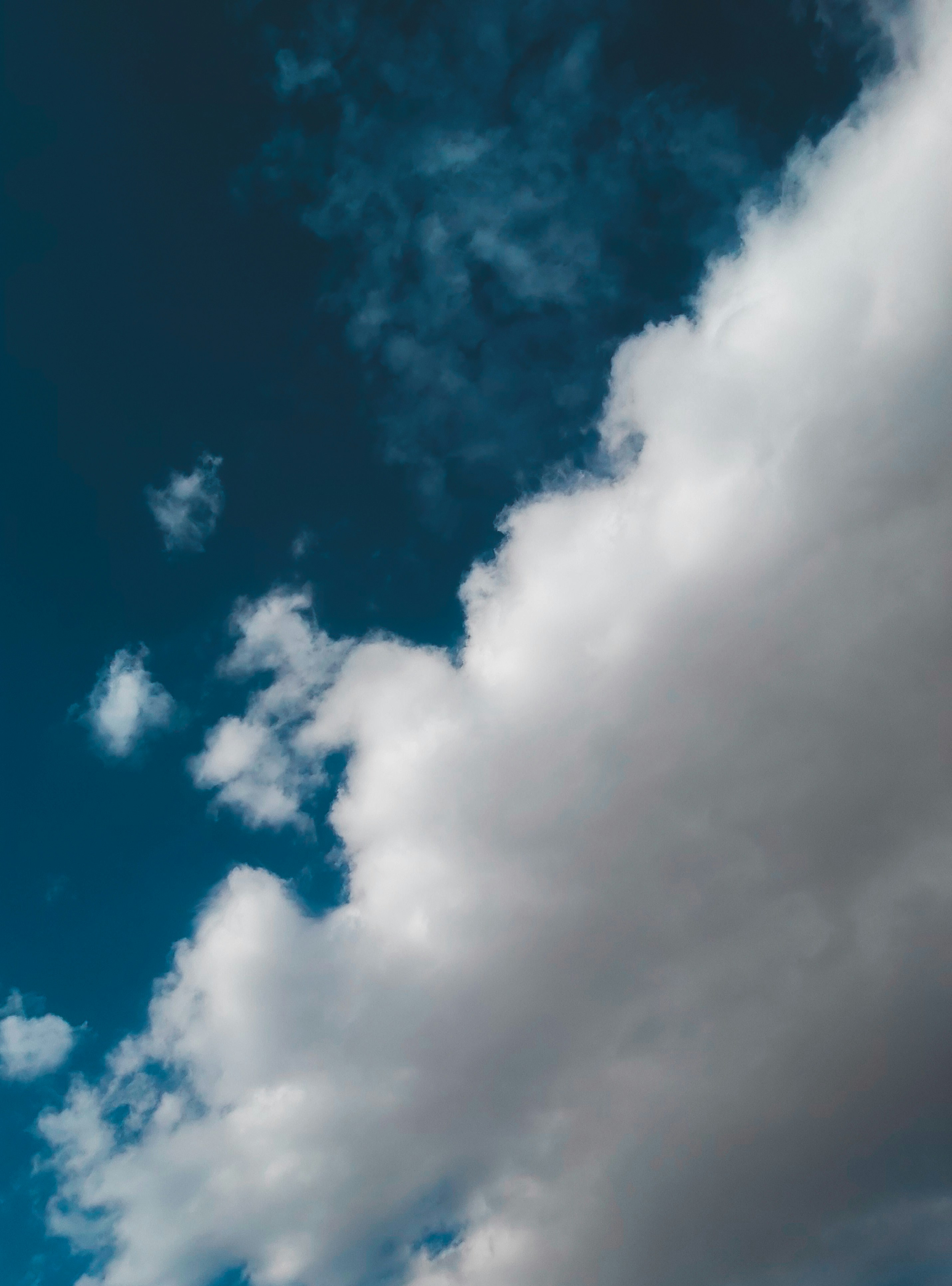 Photo by mohammadkolivand53