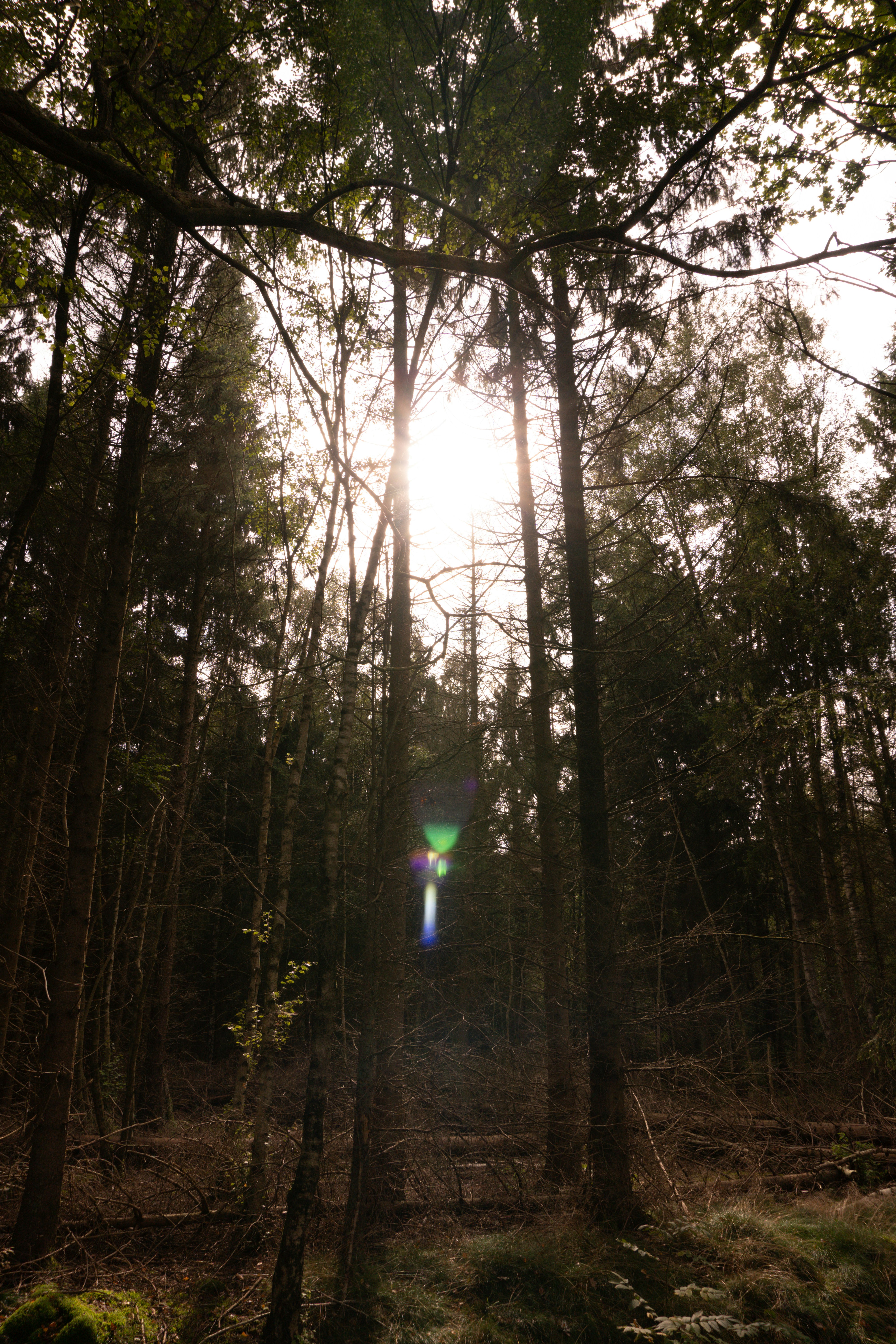 Photo by valerielenoire