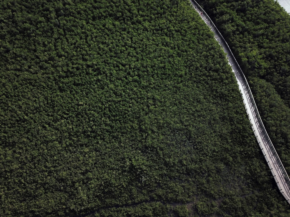 an aerial view of a road in the middle of a forest