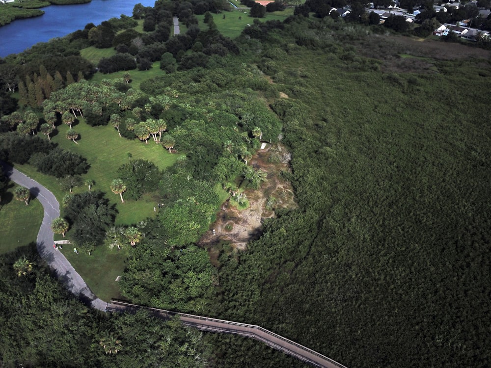 an aerial view of a lush green countryside