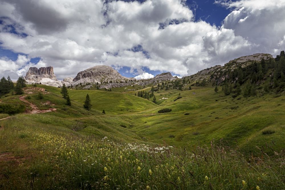 a lush green hillside with mountains in the background