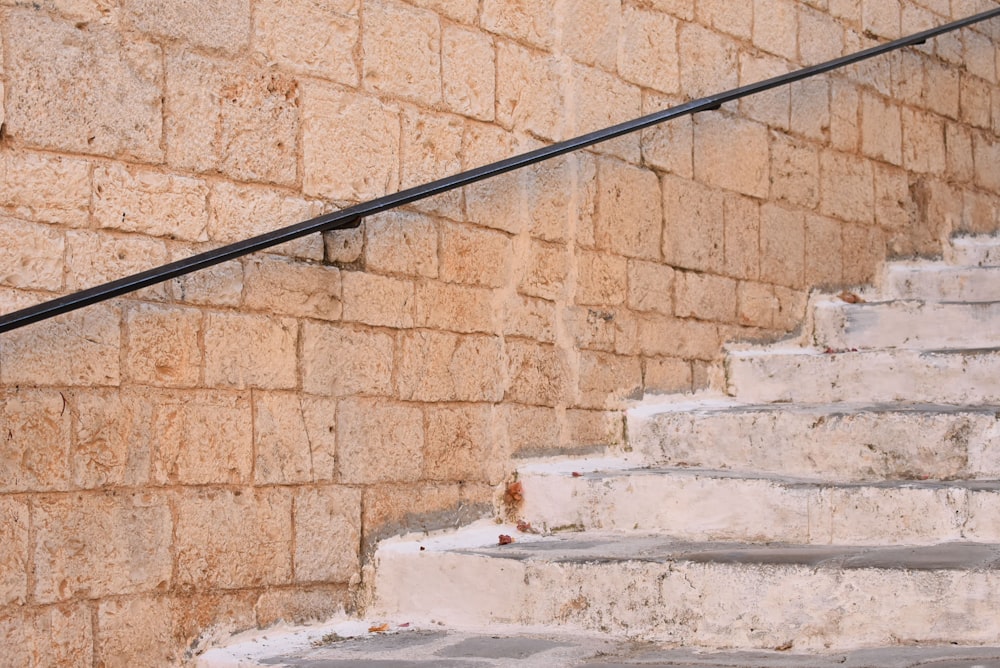 a cat sitting on the steps of a building