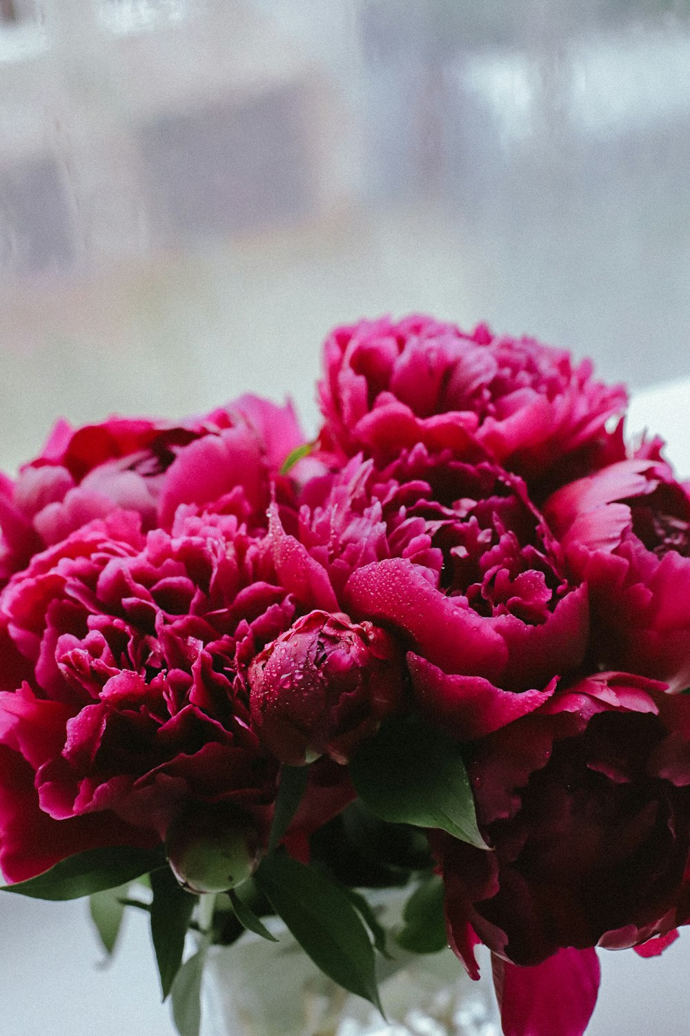eine Vase voller rosa Blumen auf einer Fensterbank