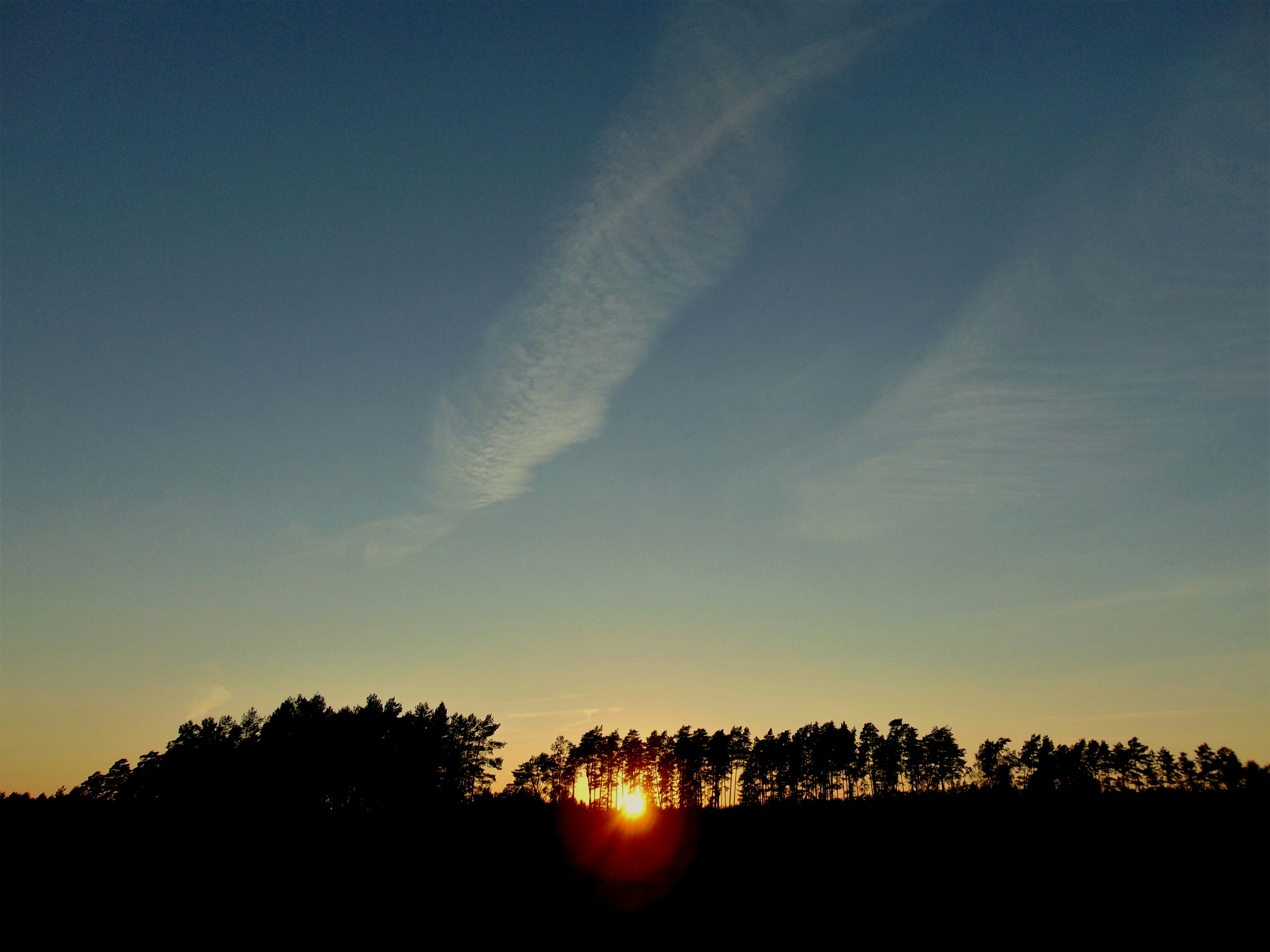 Photo by newyoung007