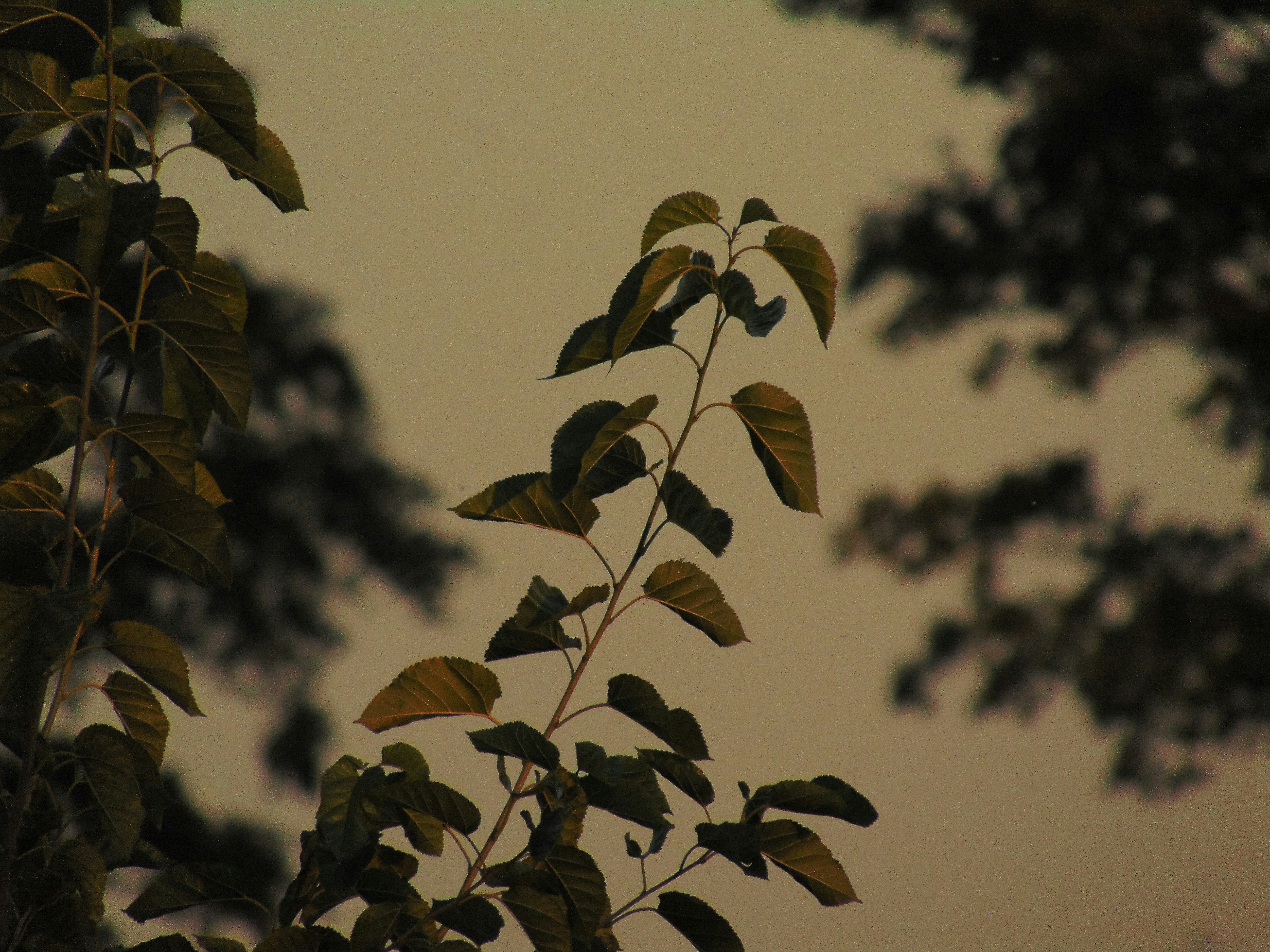 Photo by newyoung007